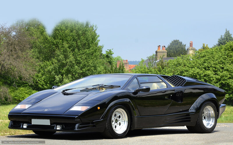 Black Lamborghini Countach — Serene, Afternoon