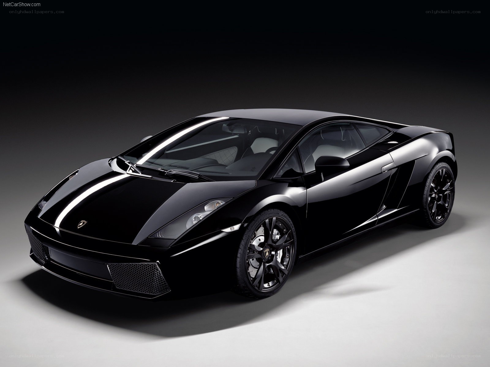 Black Lamborghini Gallardo