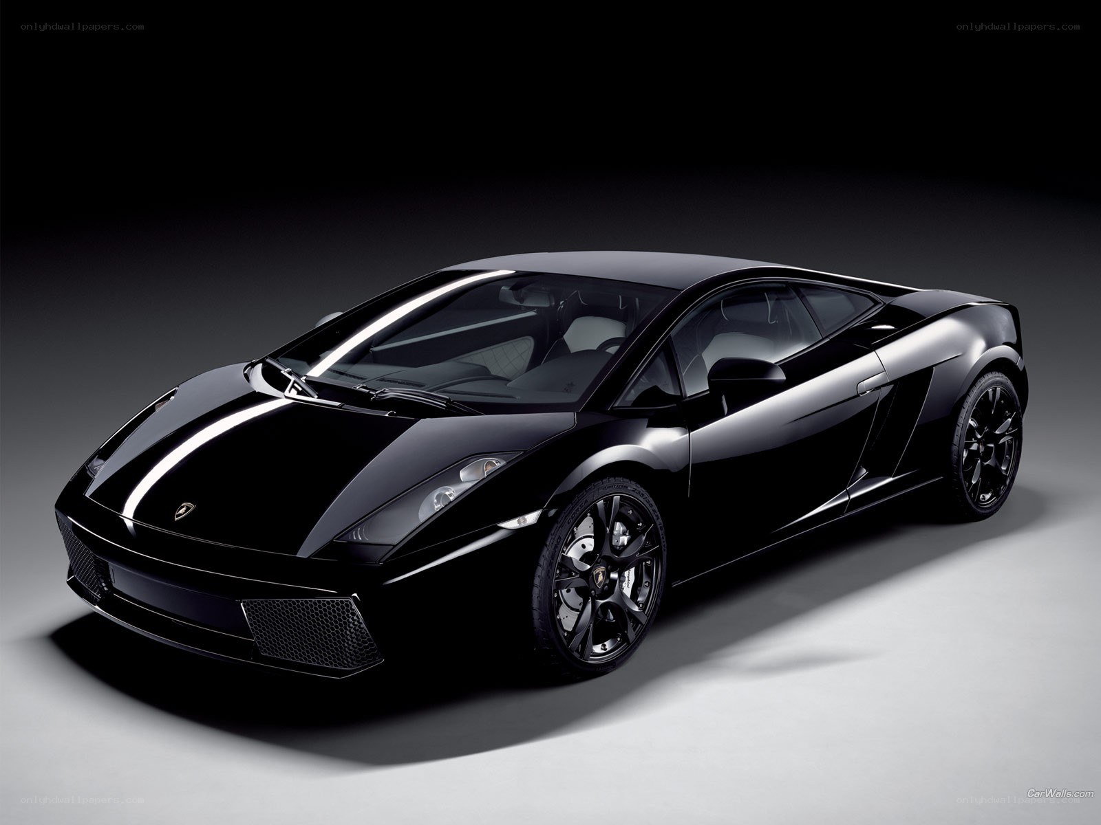 Black Lamborghini Gallardo