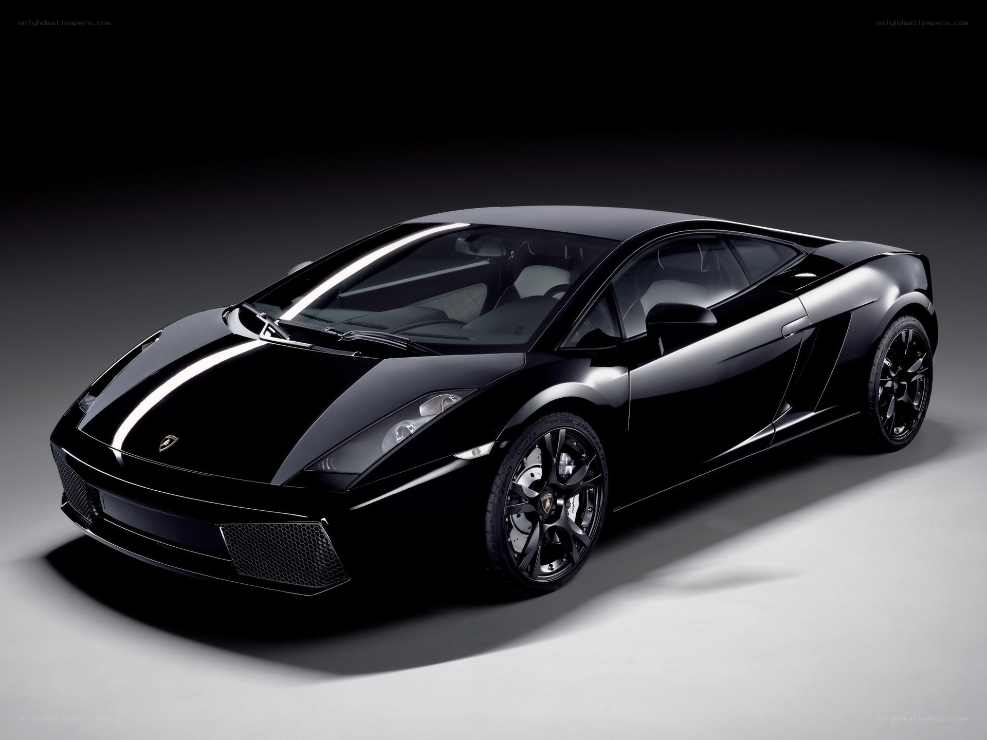 Black Lamborghini Gallardo