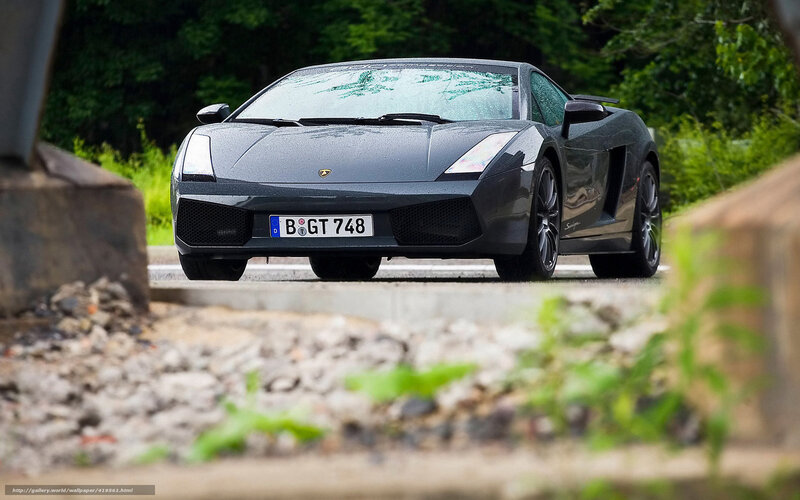 Black Lamborghini Gallardo — Gray