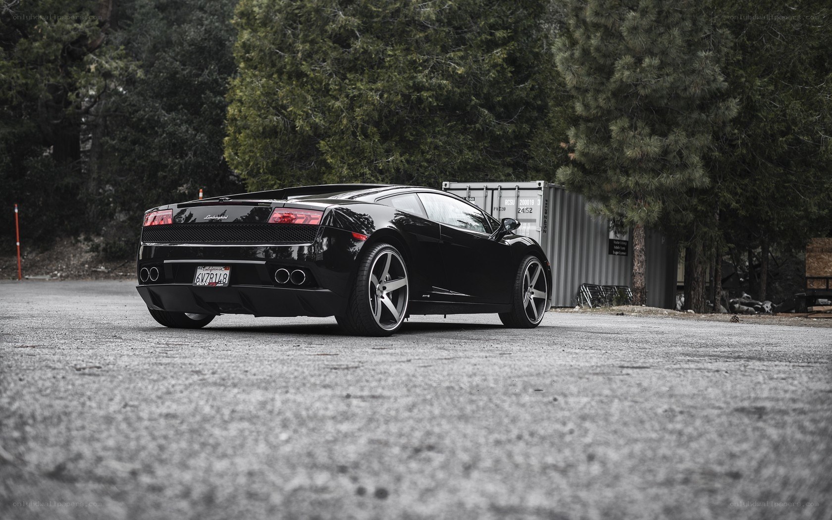 Black Lamborghini Gallardo