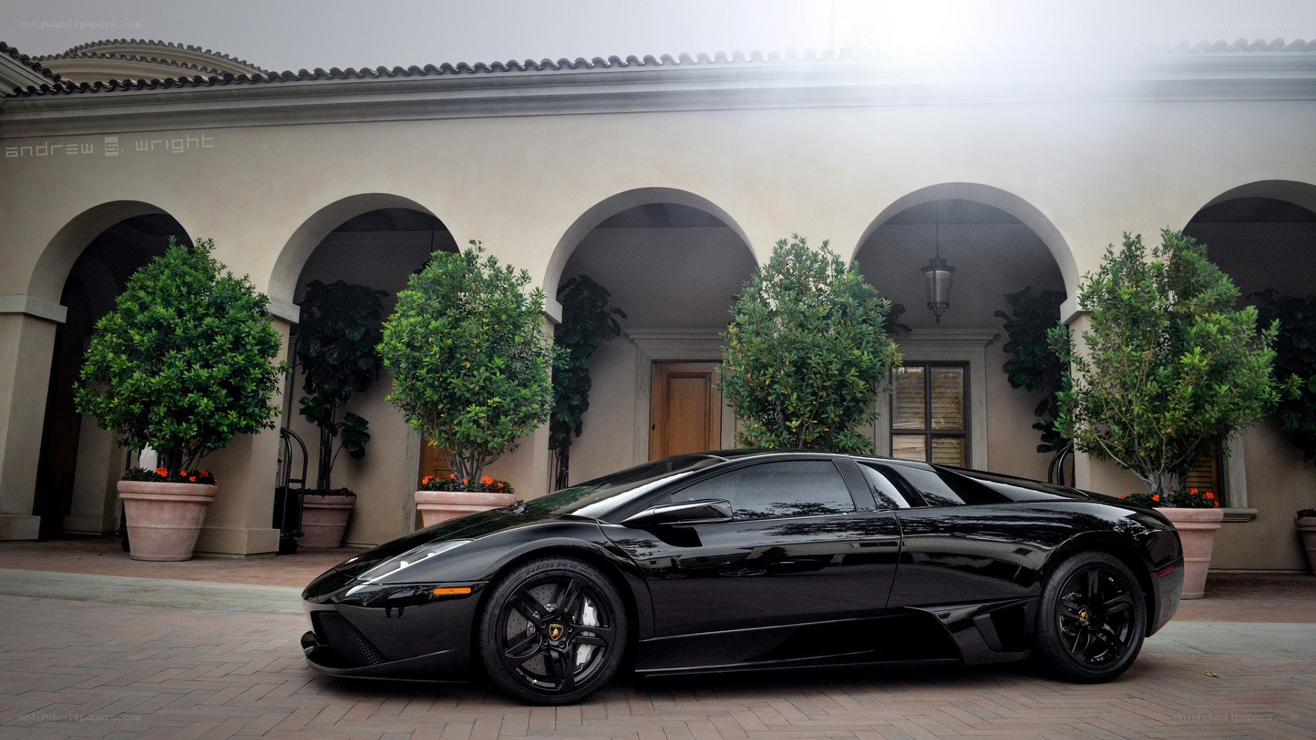 Black Lamborghini in courtyard