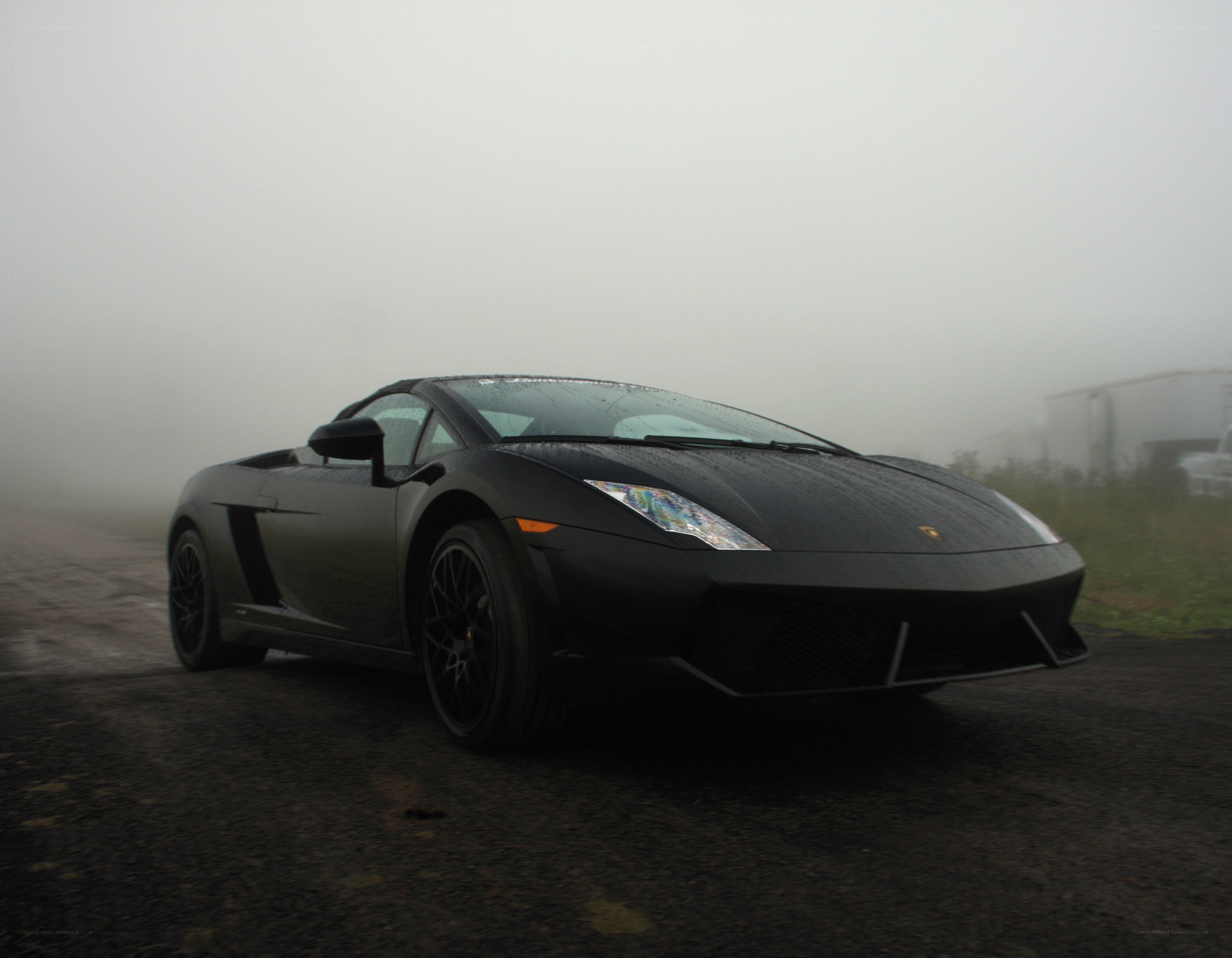 Black Lamborghini in fog