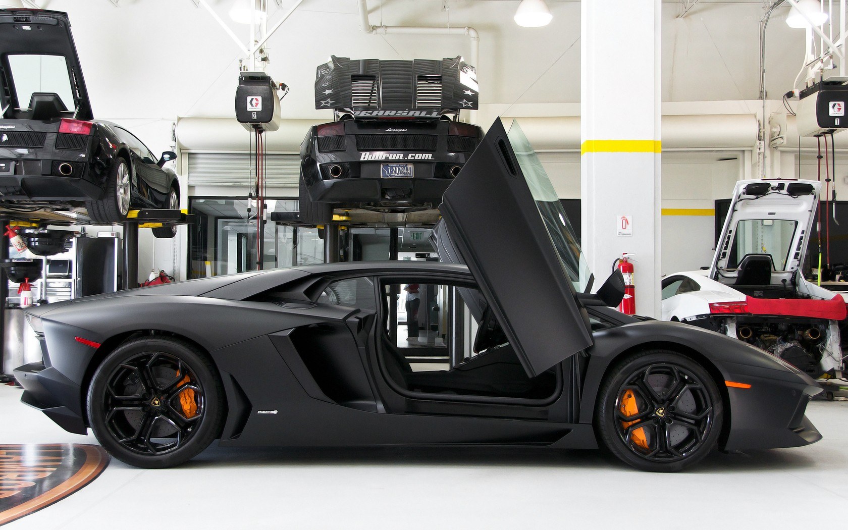 Black Lamborghini in garage