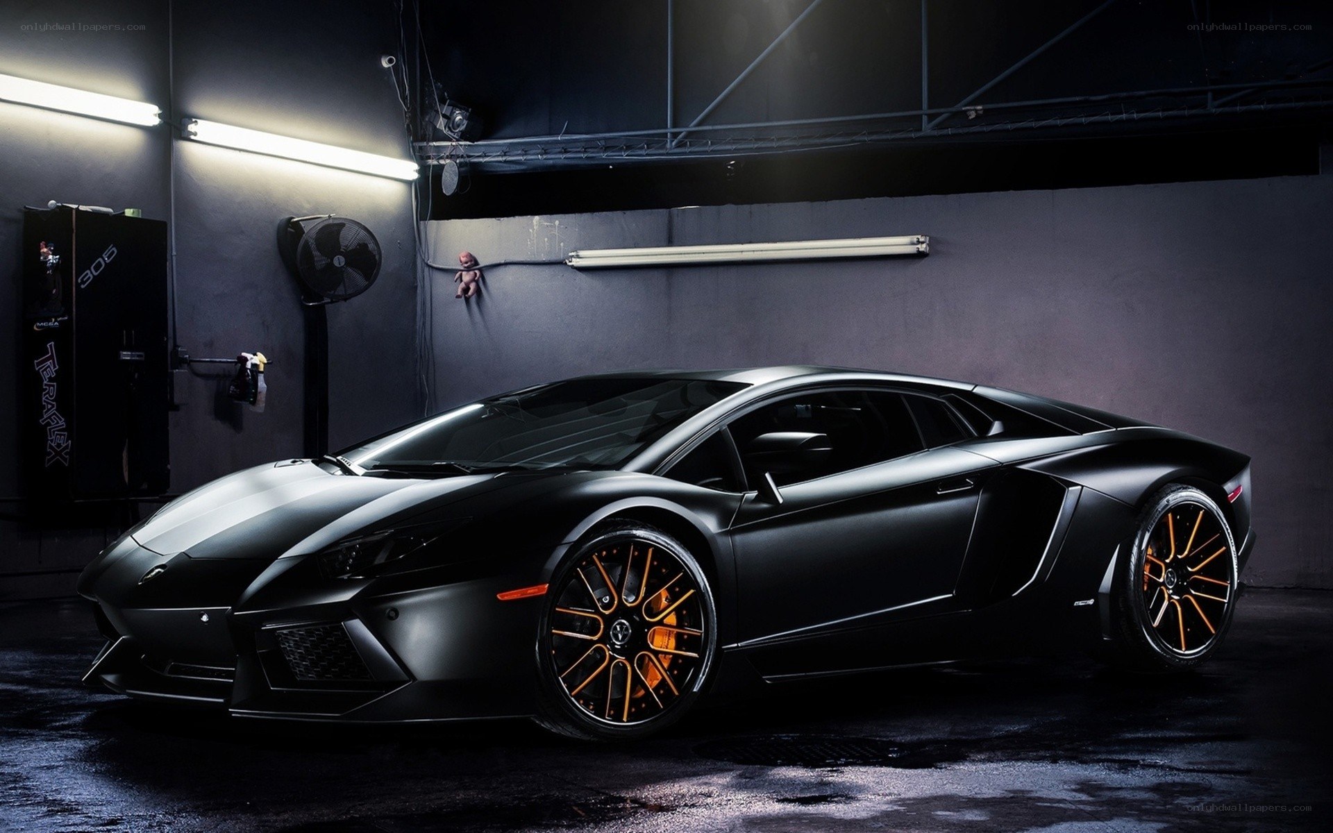 Black Lamborghini in garage