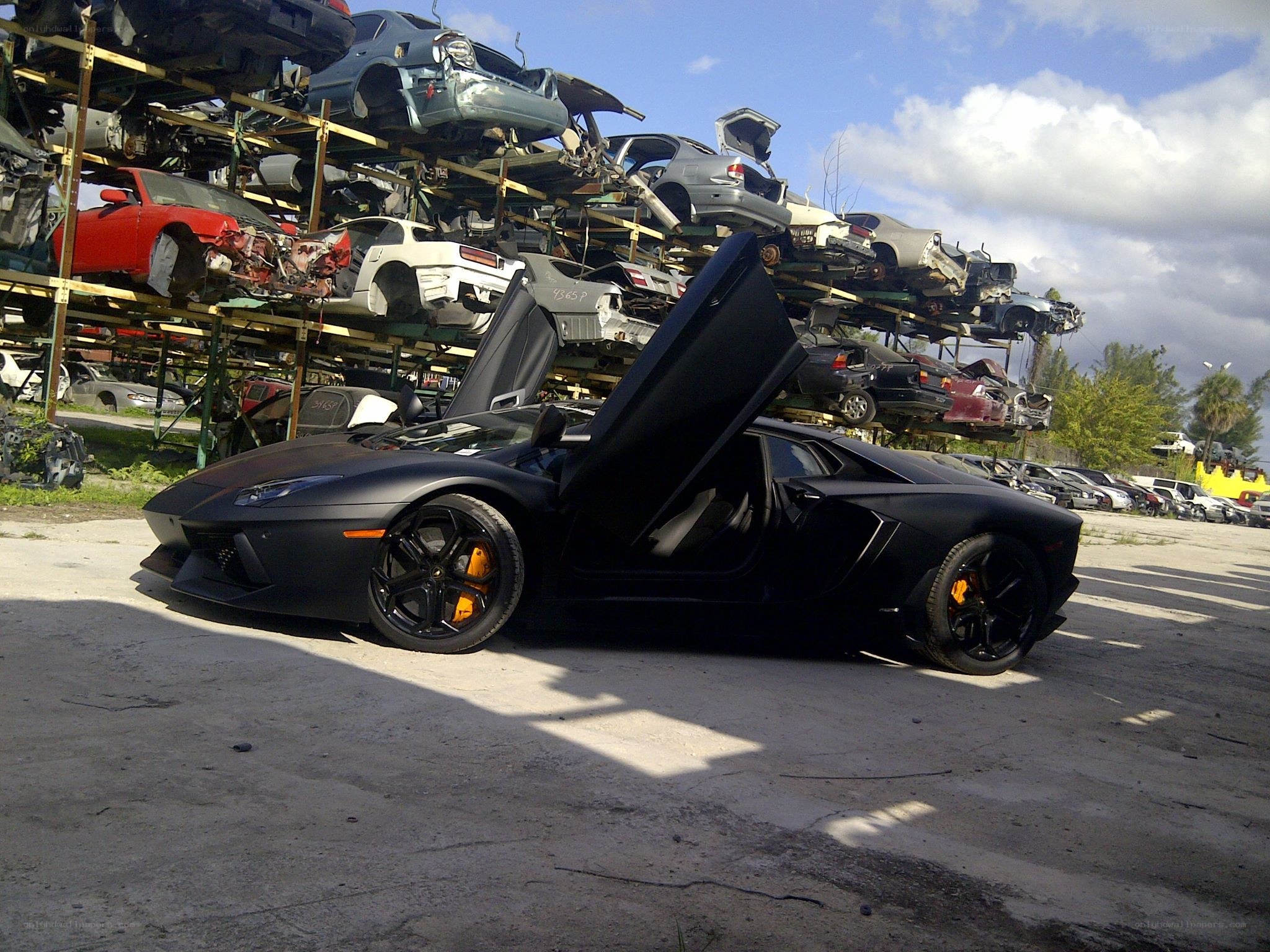 Black Lamborghini in junkyard