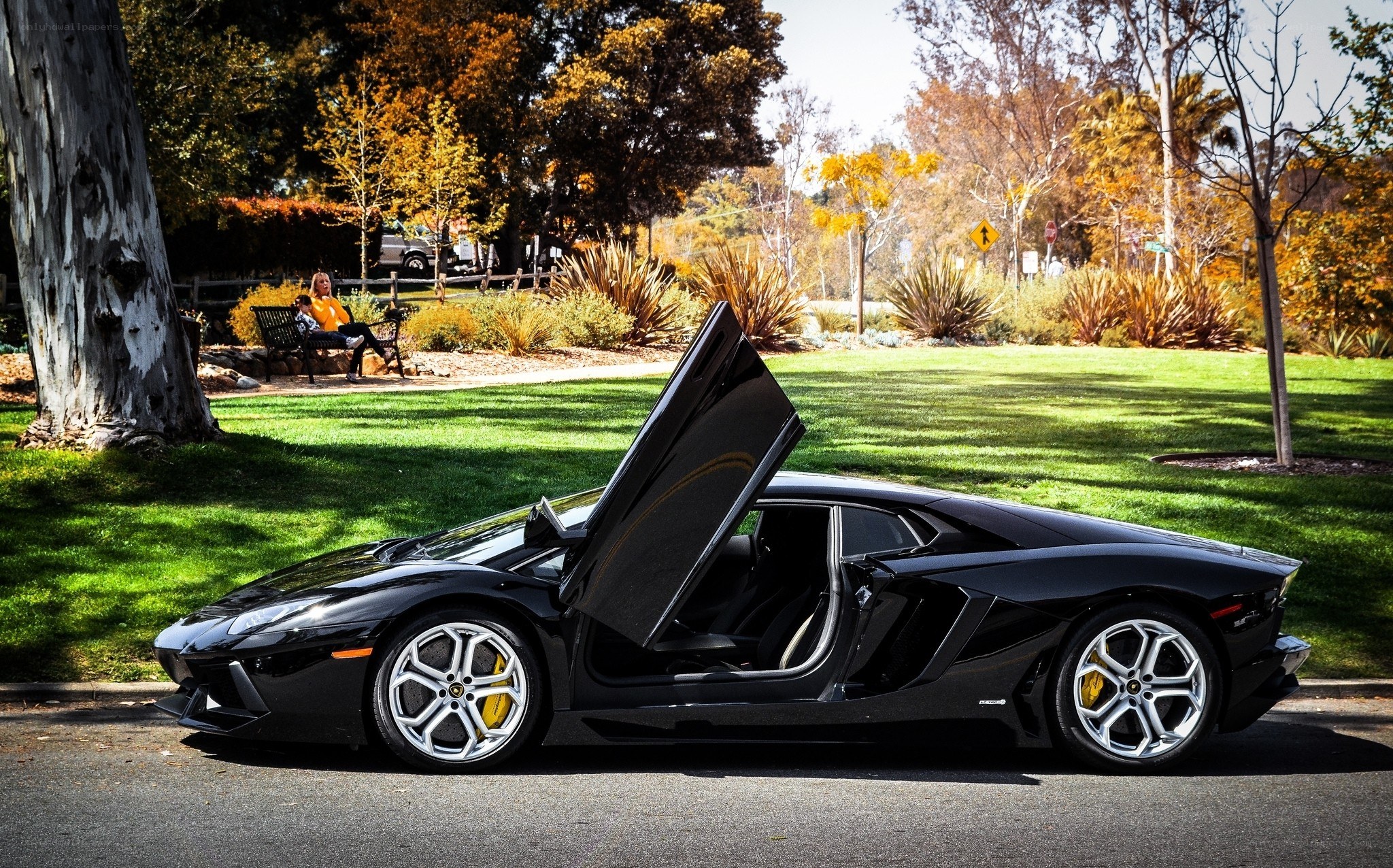 Black Lamborghini in park