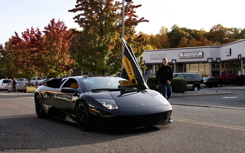Black Lamborghini Murcielago — Calm, Autumn