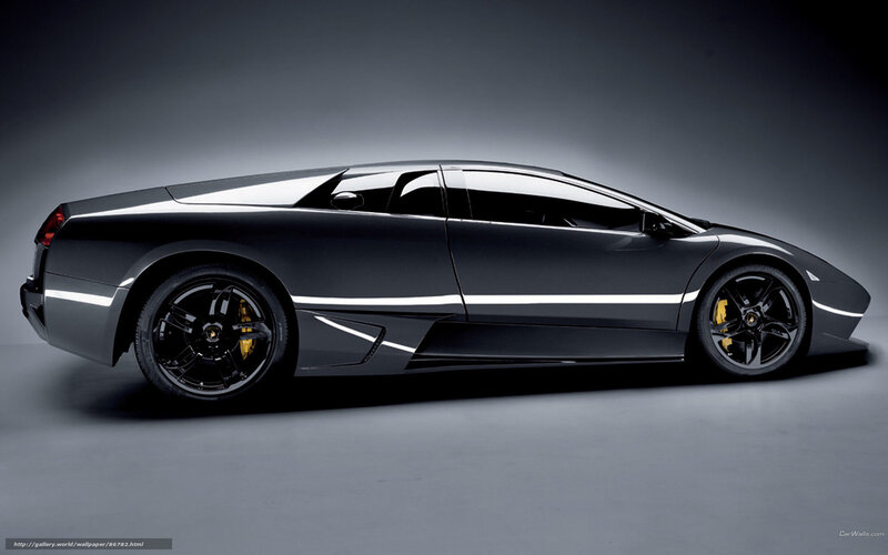 Black Lamborghini Murcielago — Gray