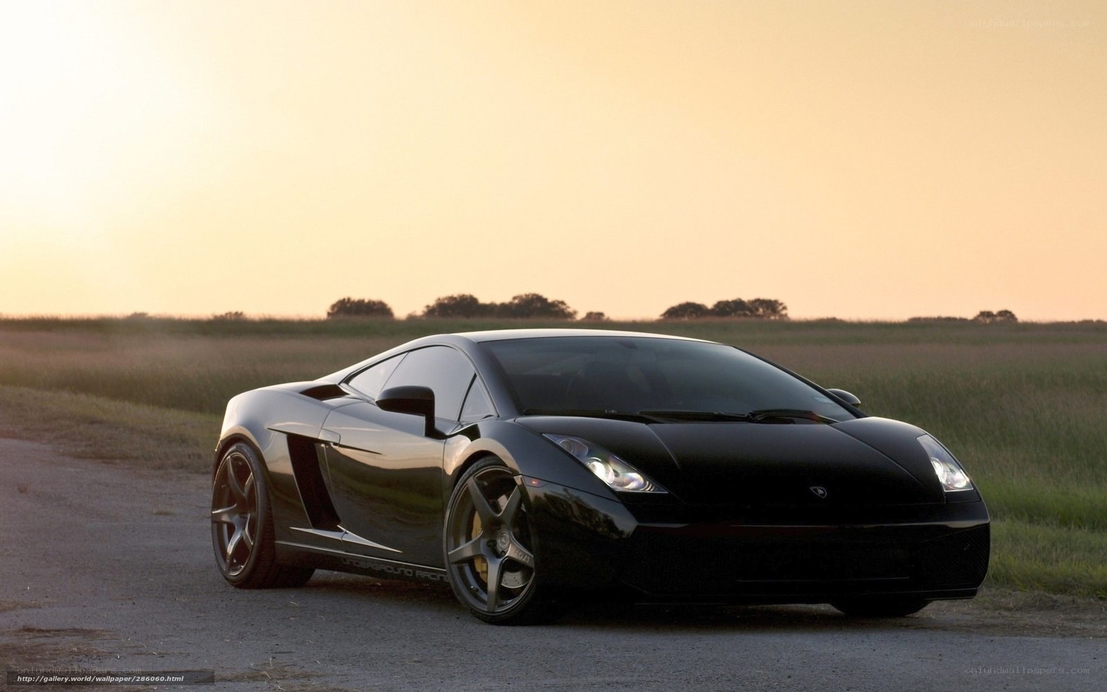 Black Lamborghini on a country road