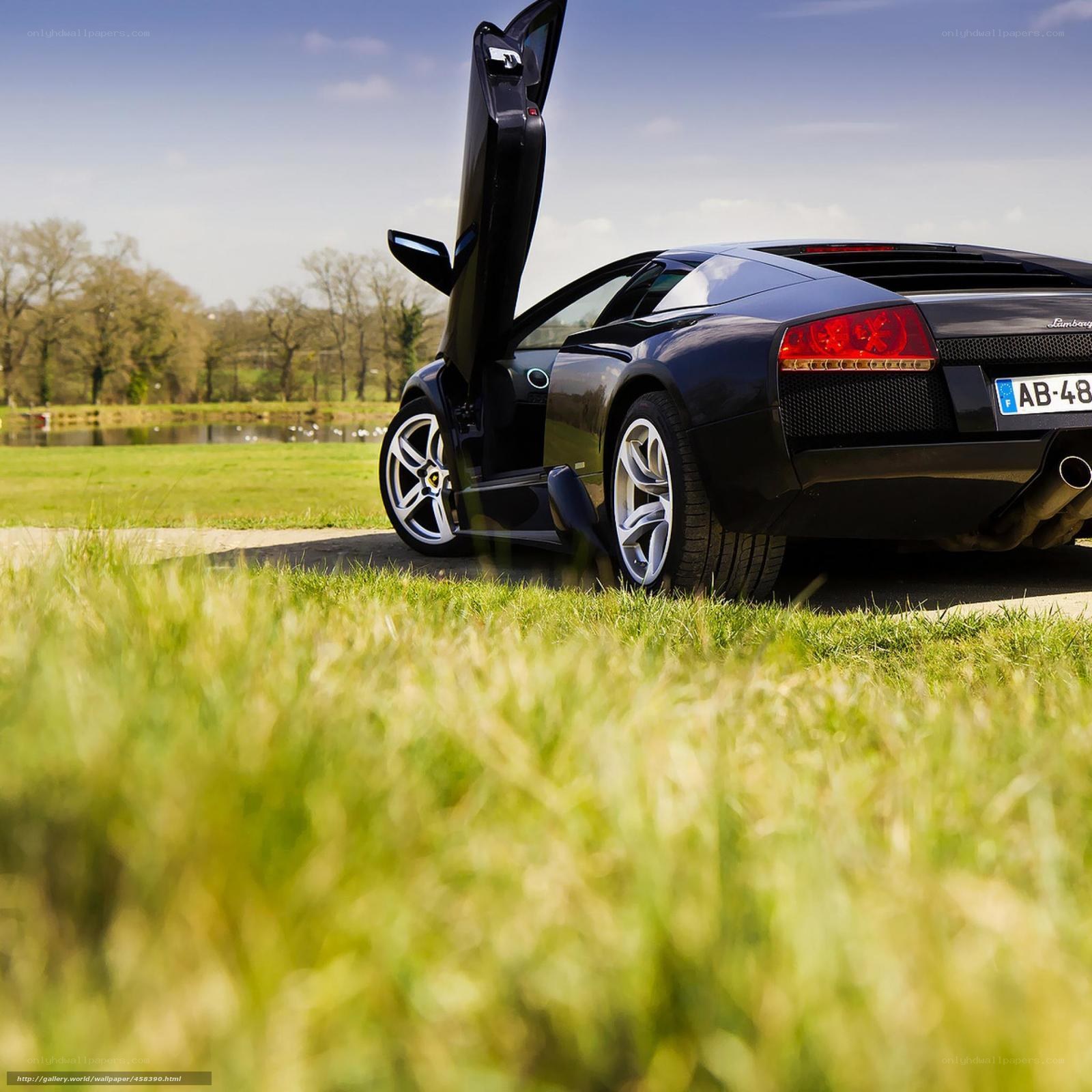 Black Lamborghini on a grassy field
