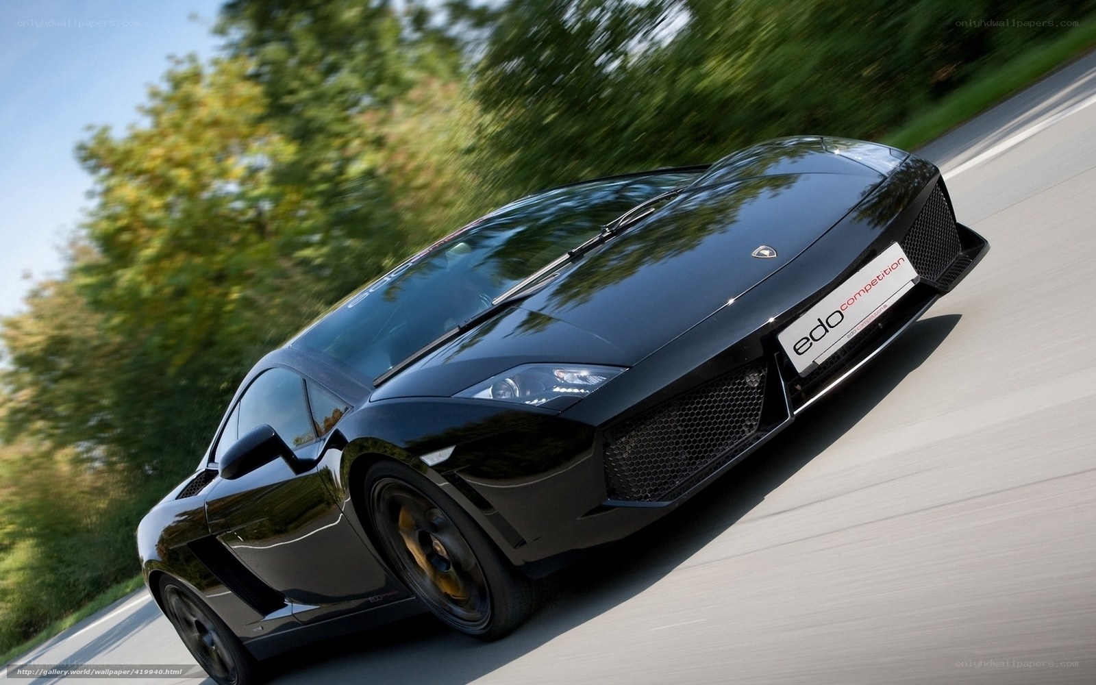 Black Lamborghini on a road