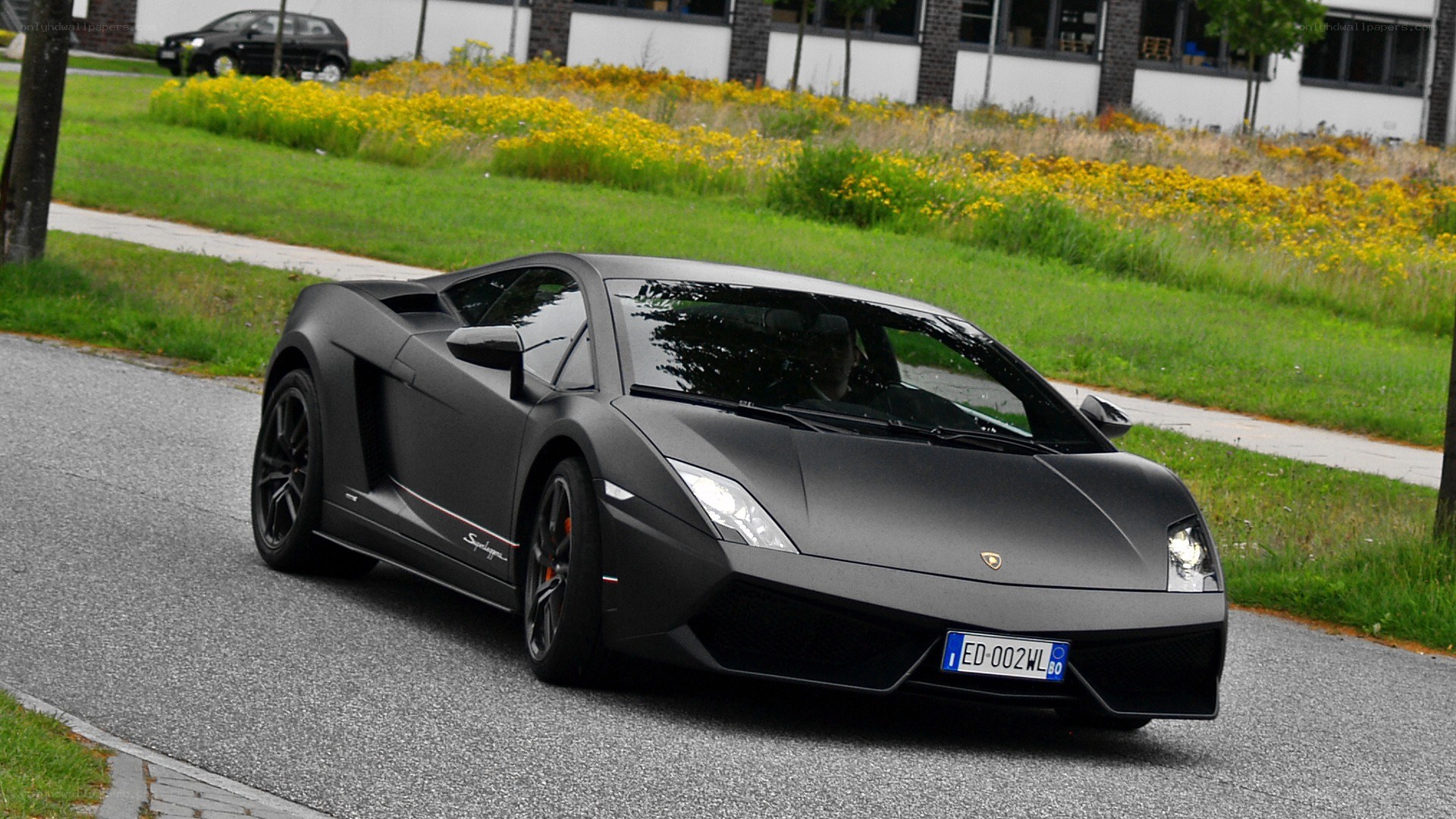black lamborghini on a road