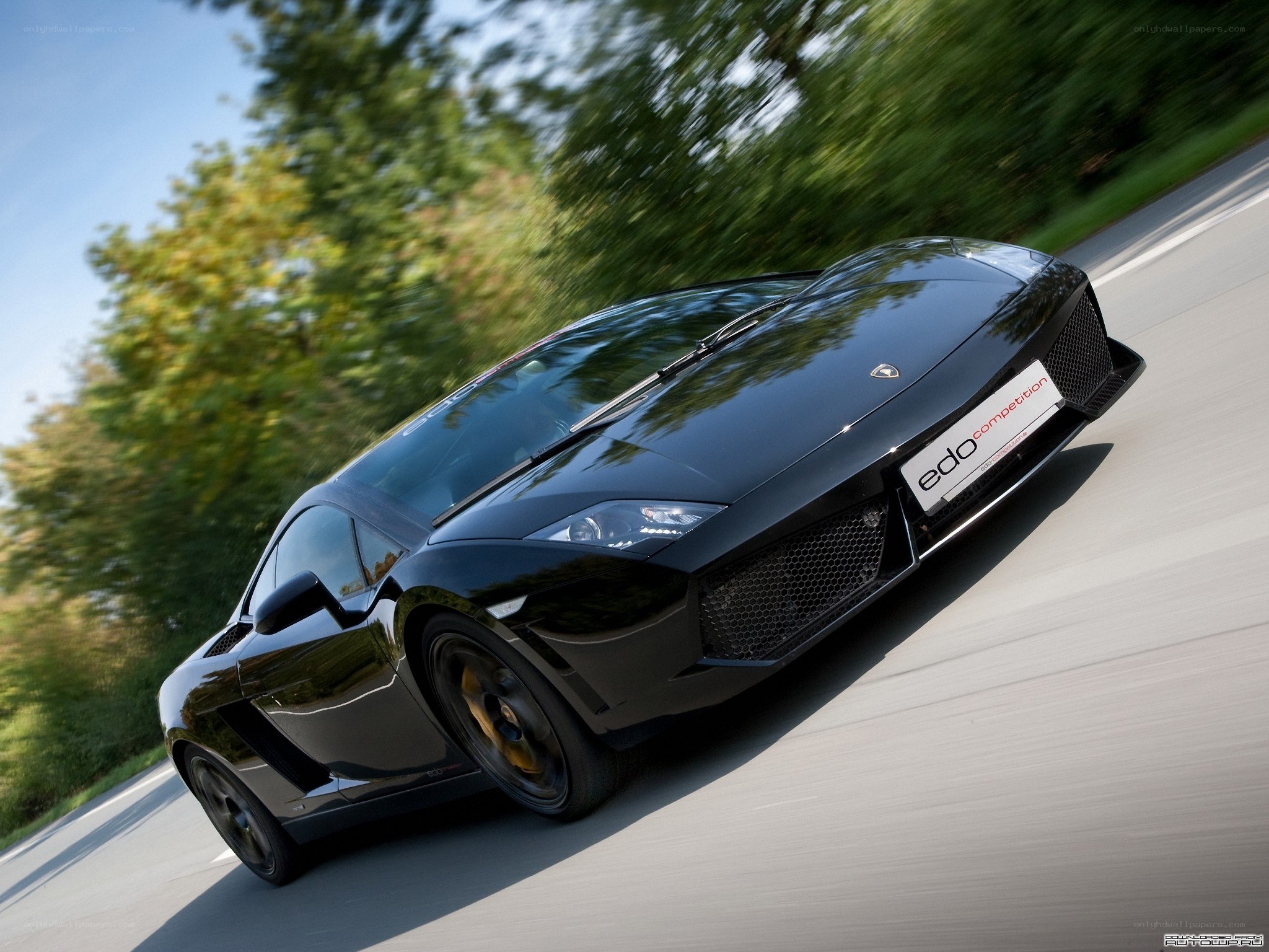 Black Lamborghini on a road