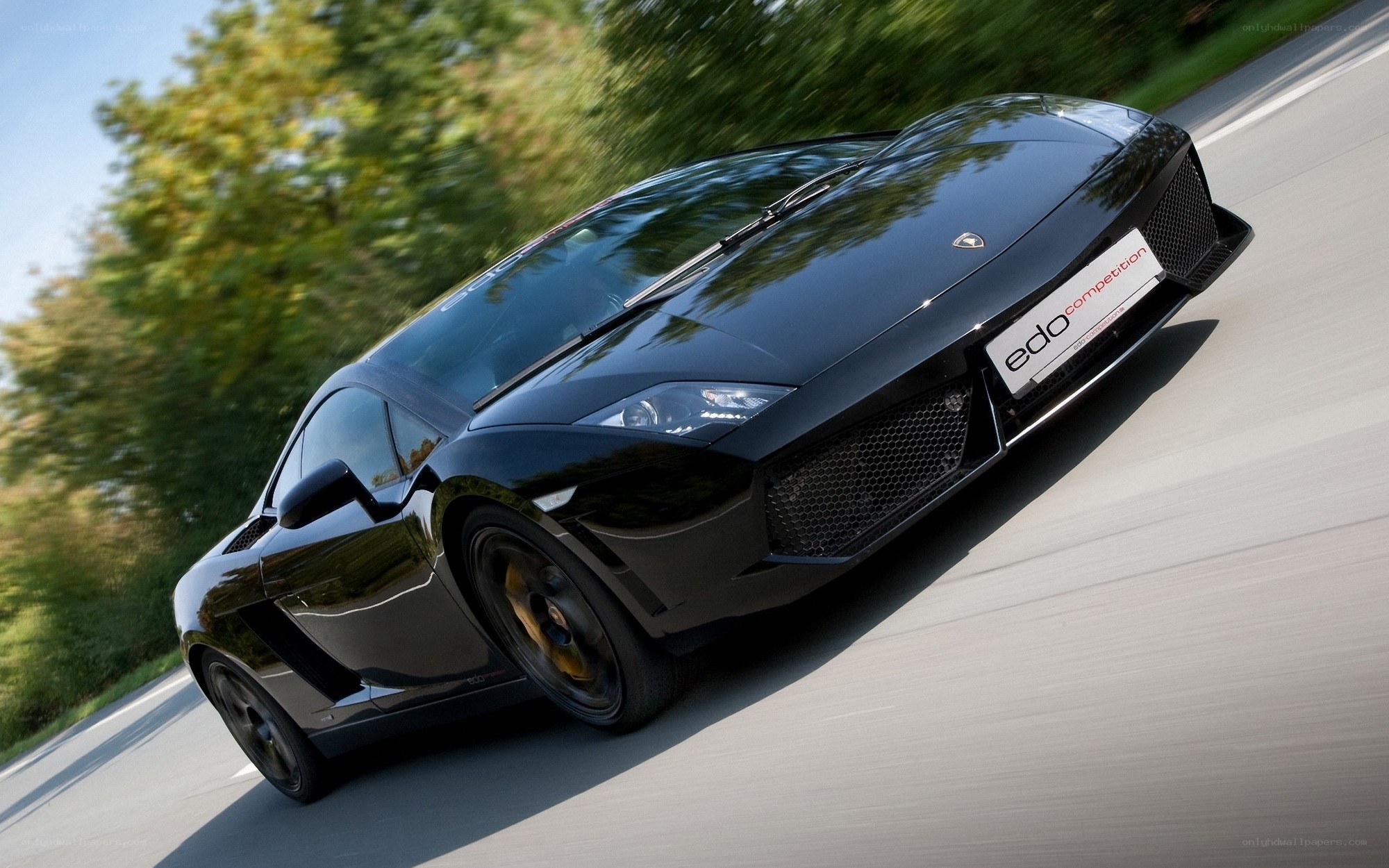 Black Lamborghini on a road