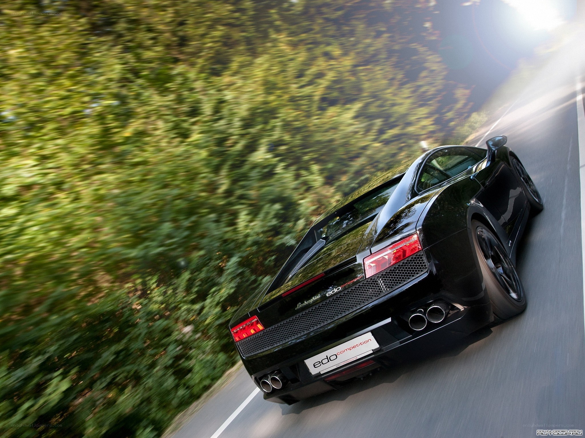 Black Lamborghini on a winding road