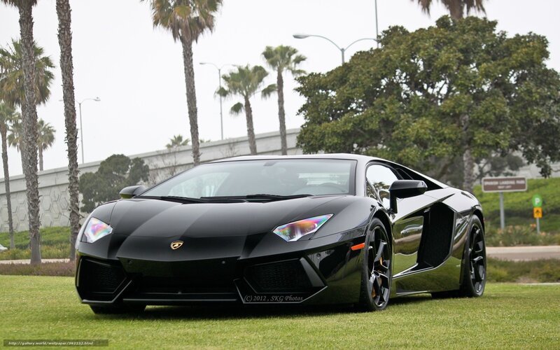 Black Lamborghini on grass