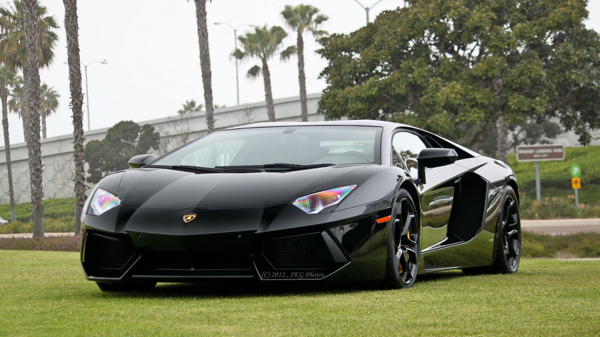 Black Lamborghini on grass