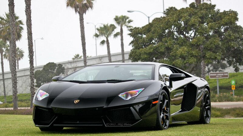 Black Lamborghini on grass