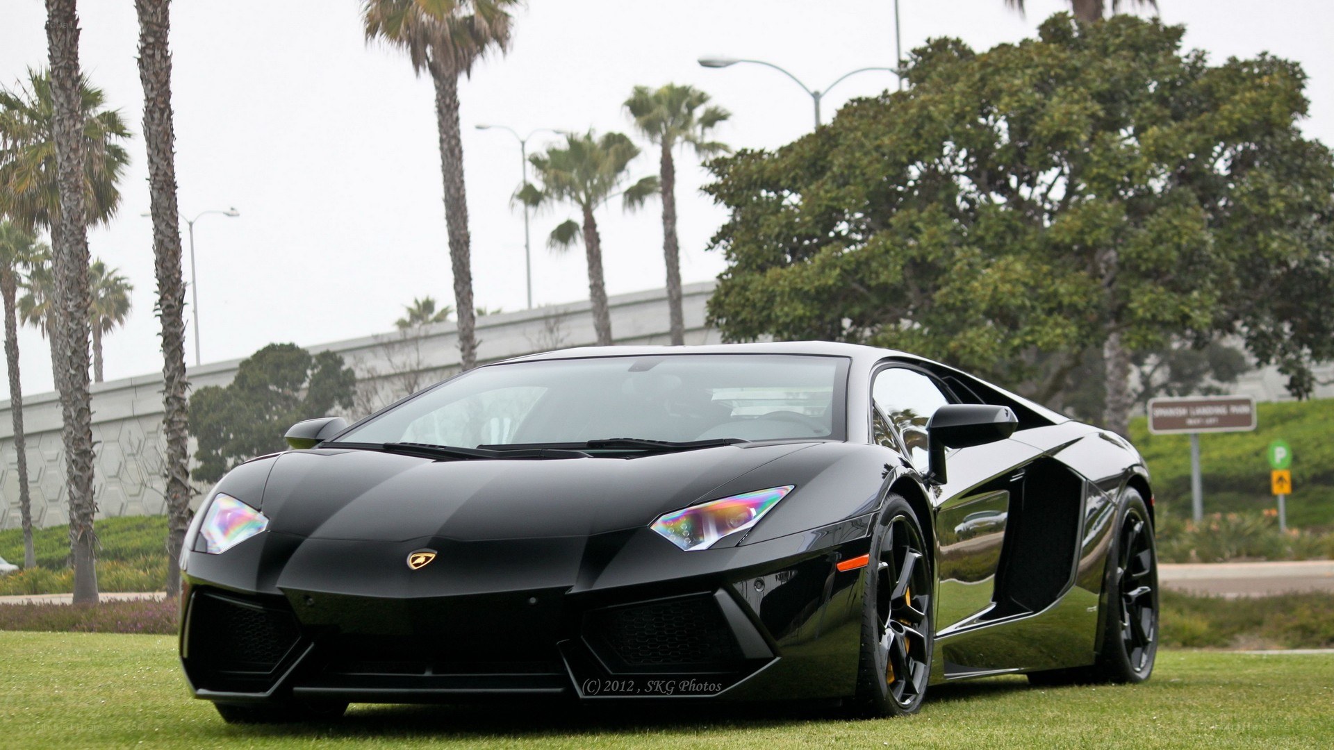 Black Lamborghini on grass