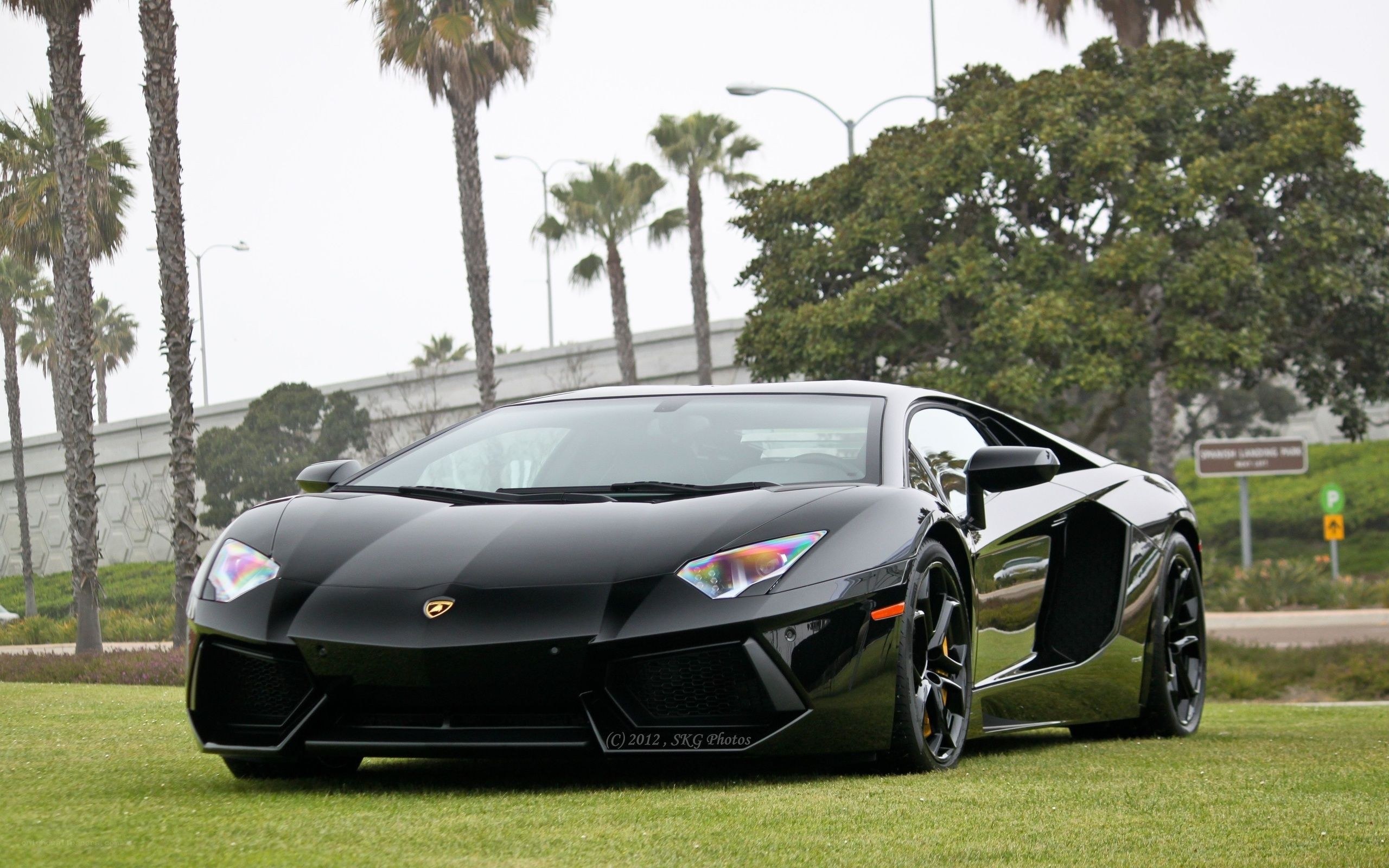 Black Lamborghini on grass