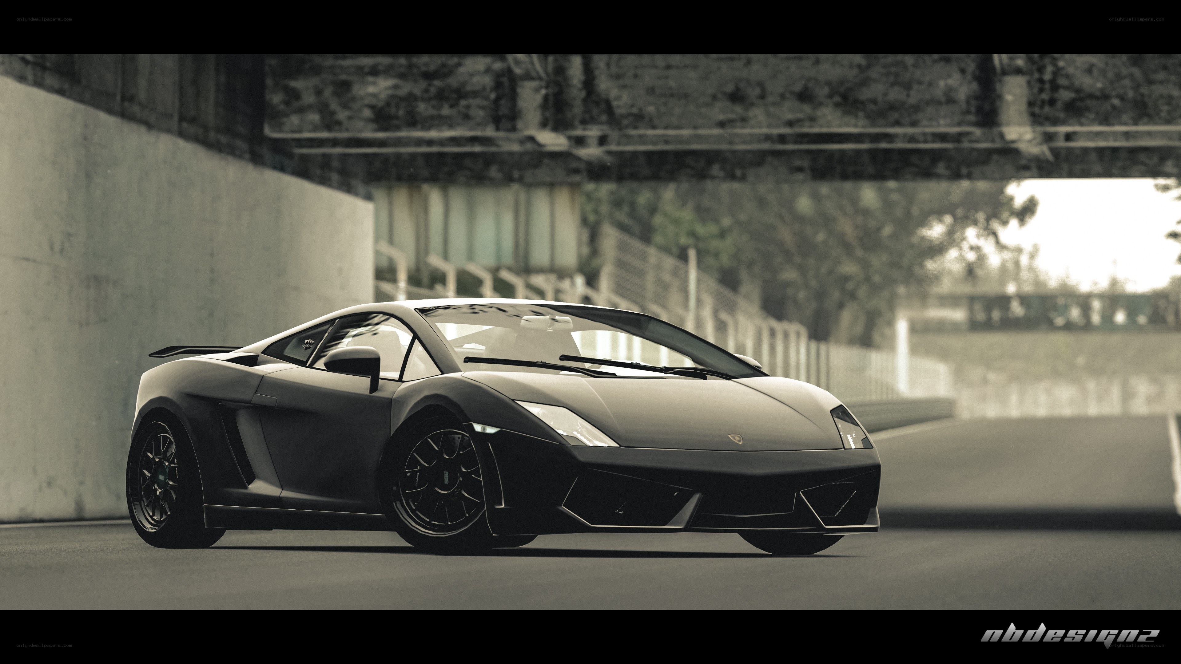 Black Lamborghini on racetrack