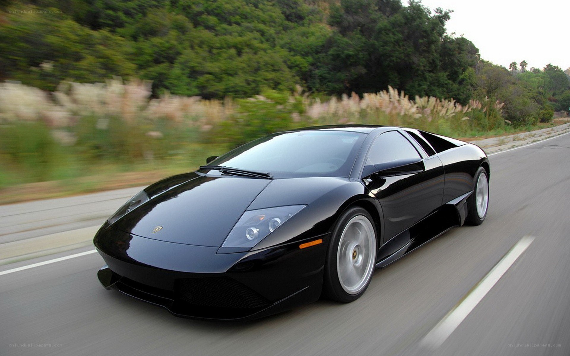 black lamborghini on road