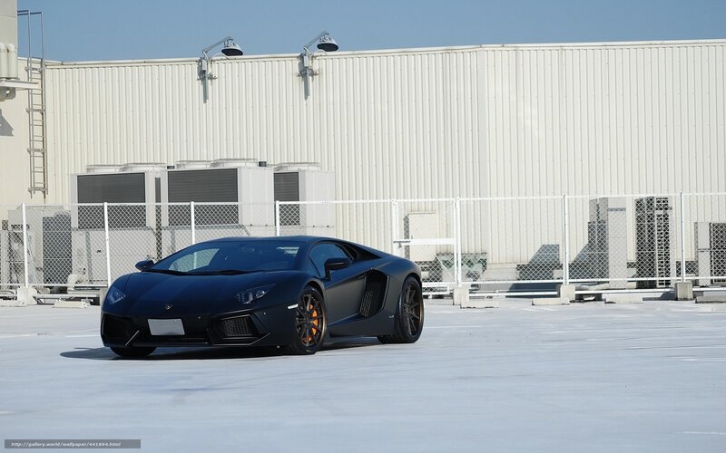 Black Lamborghini on rooftop