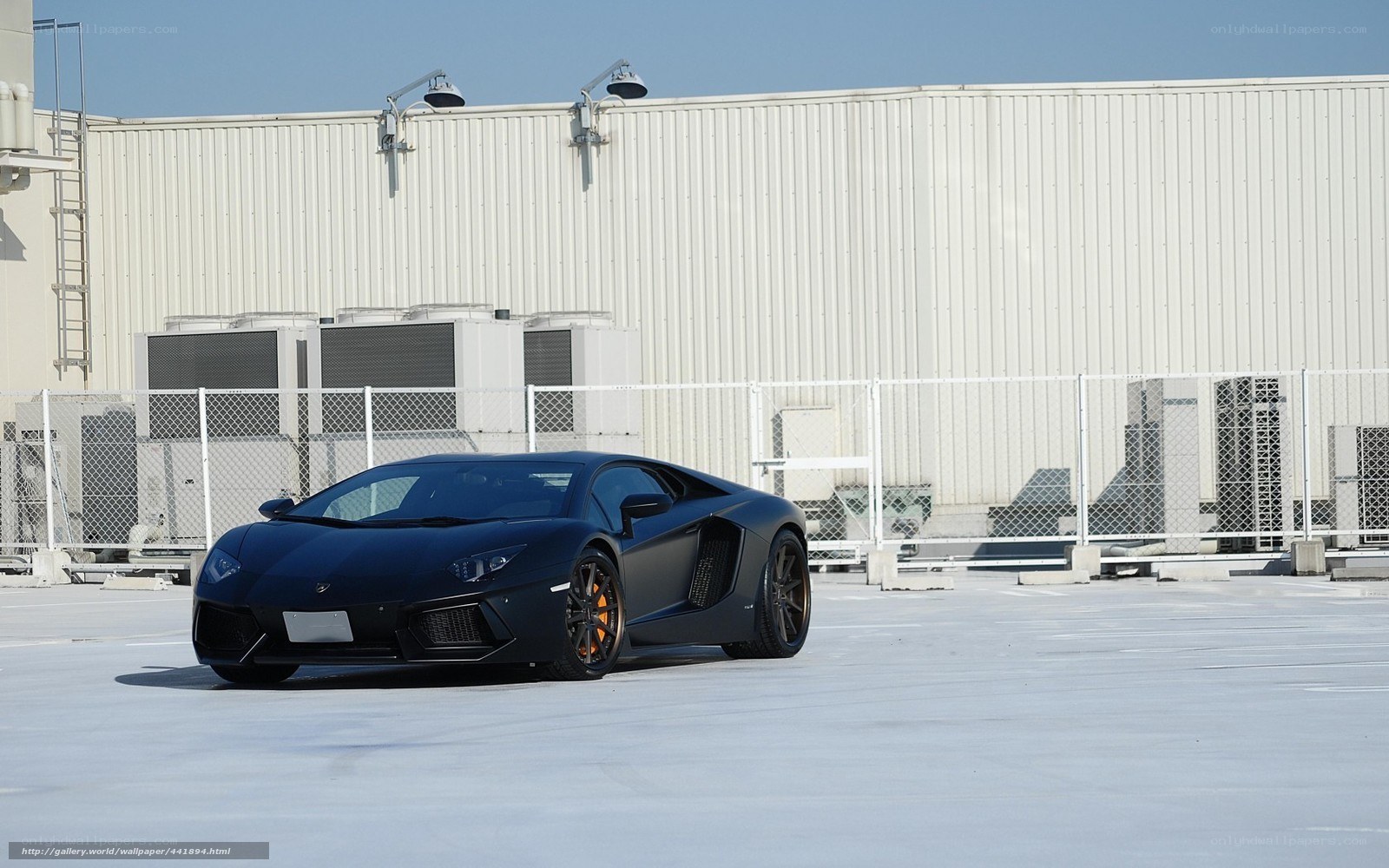 Black Lamborghini on rooftop