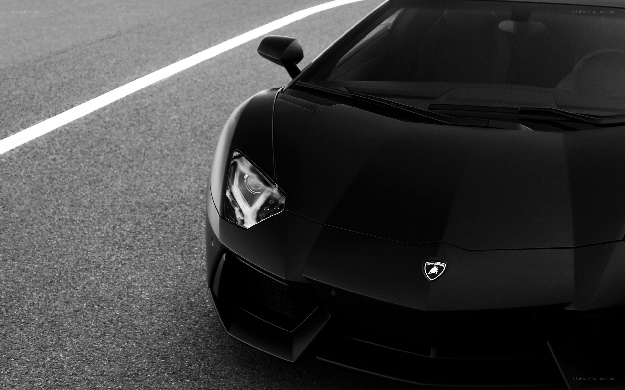Black Lamborghini on track