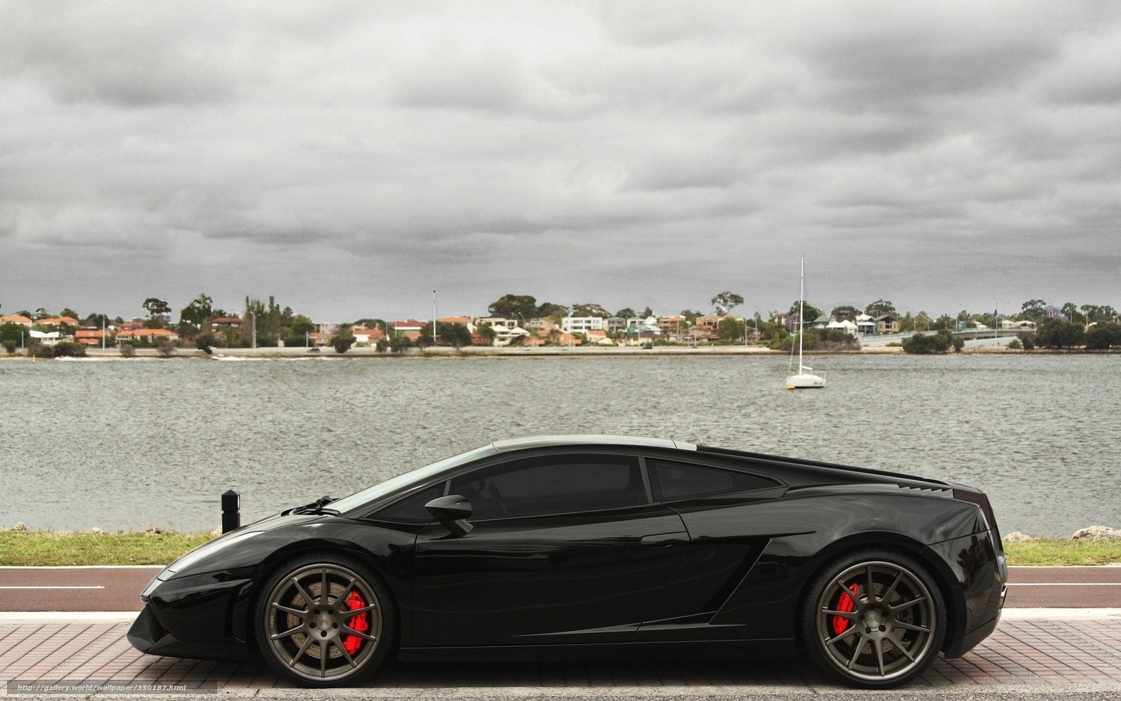 Black Lamborghini on waterfront
