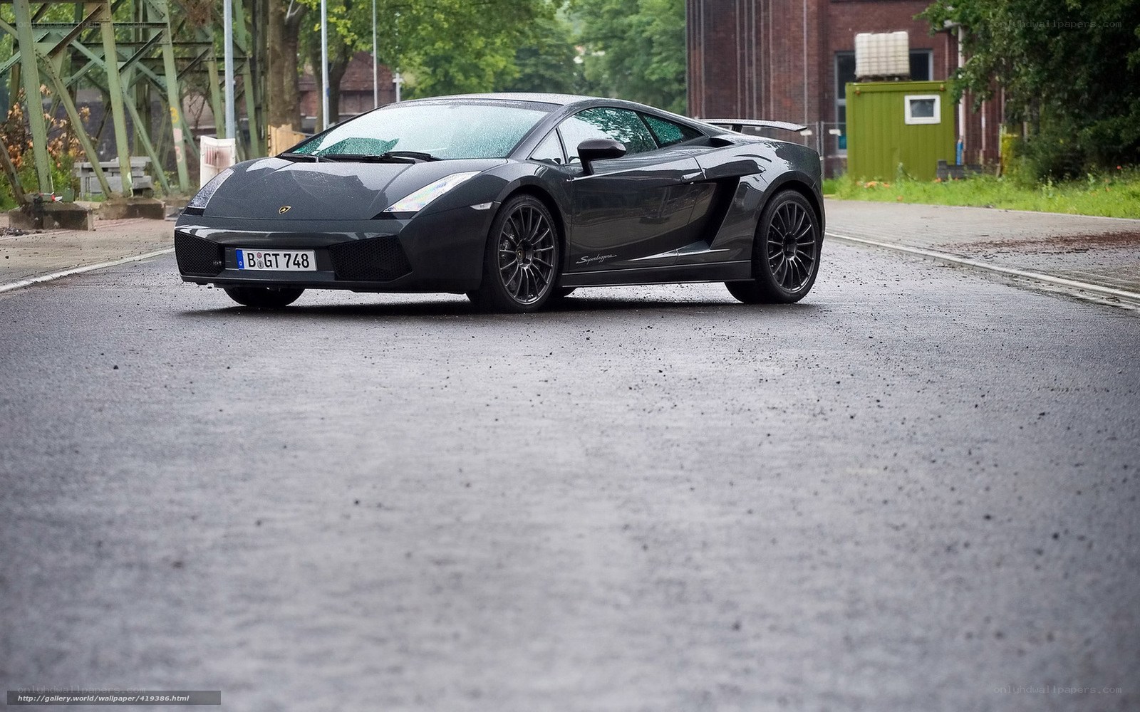 black lamborghini on wet road