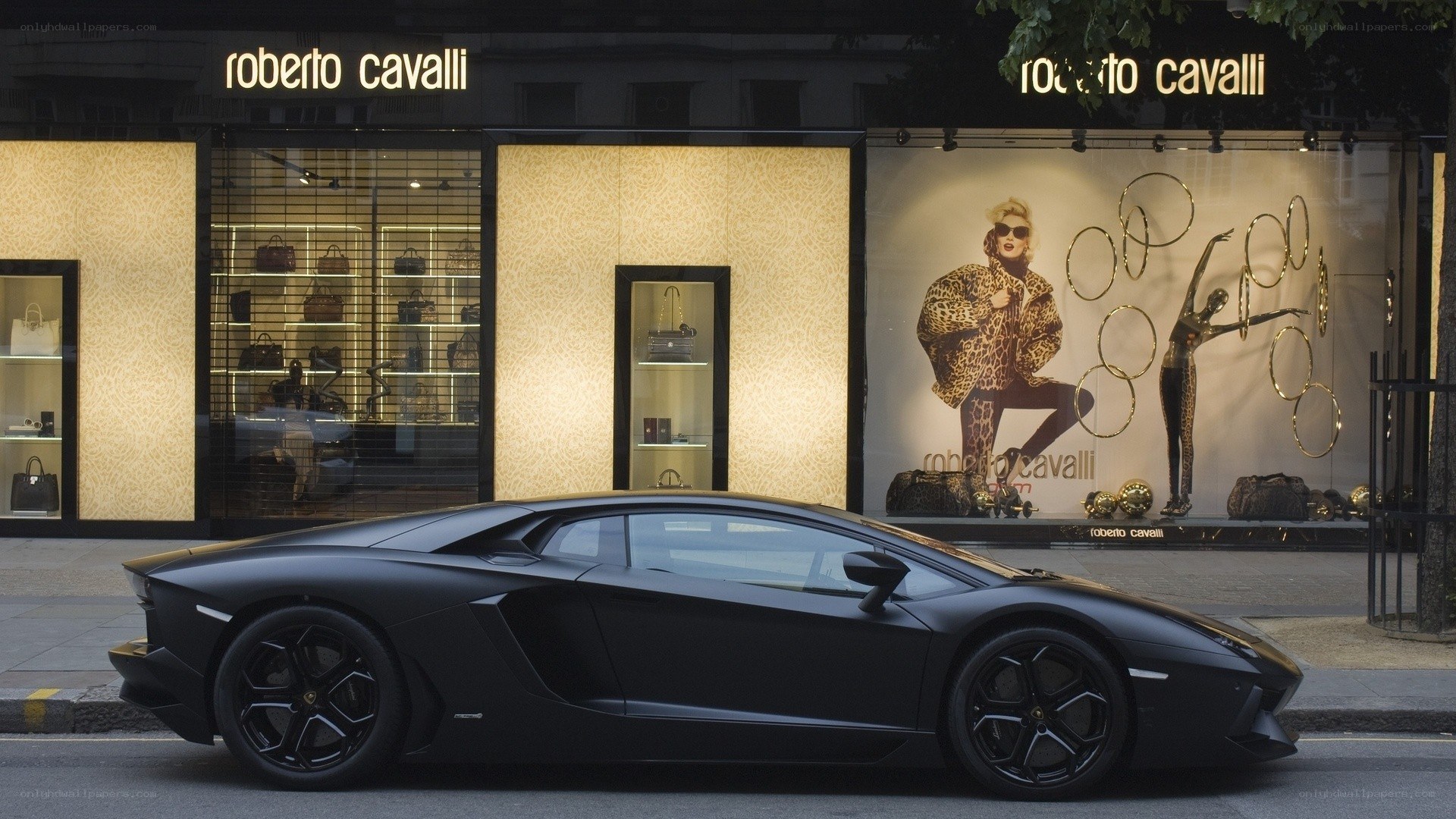 Black Lamborghini outside Roberto Cavalli