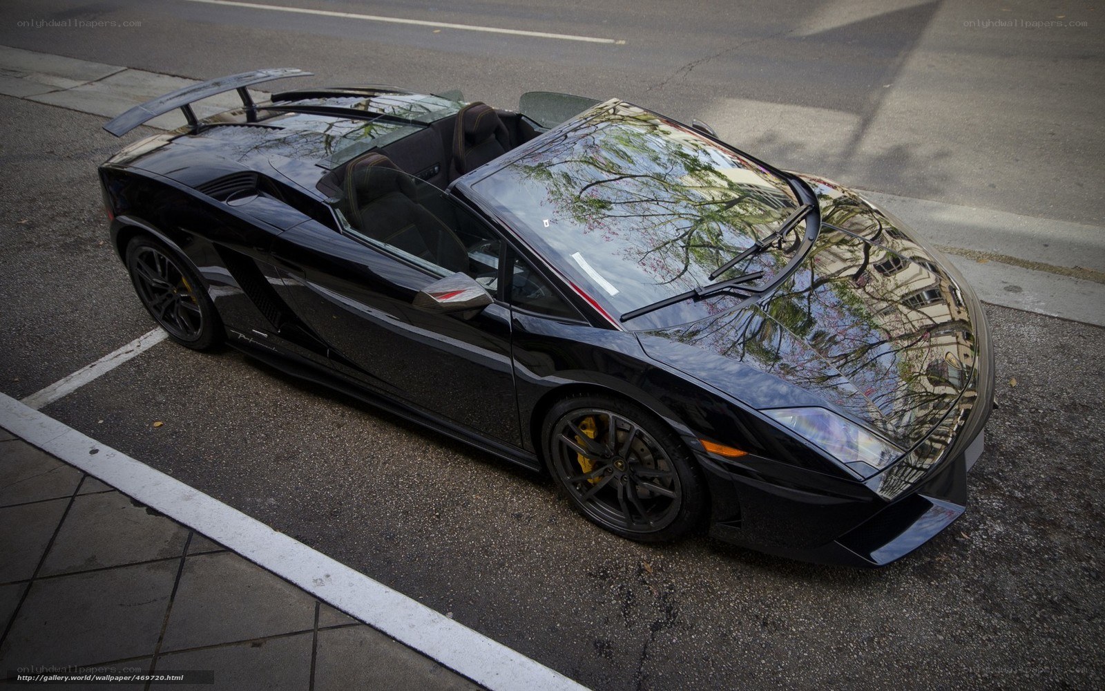 Black Lamborghini parked on street