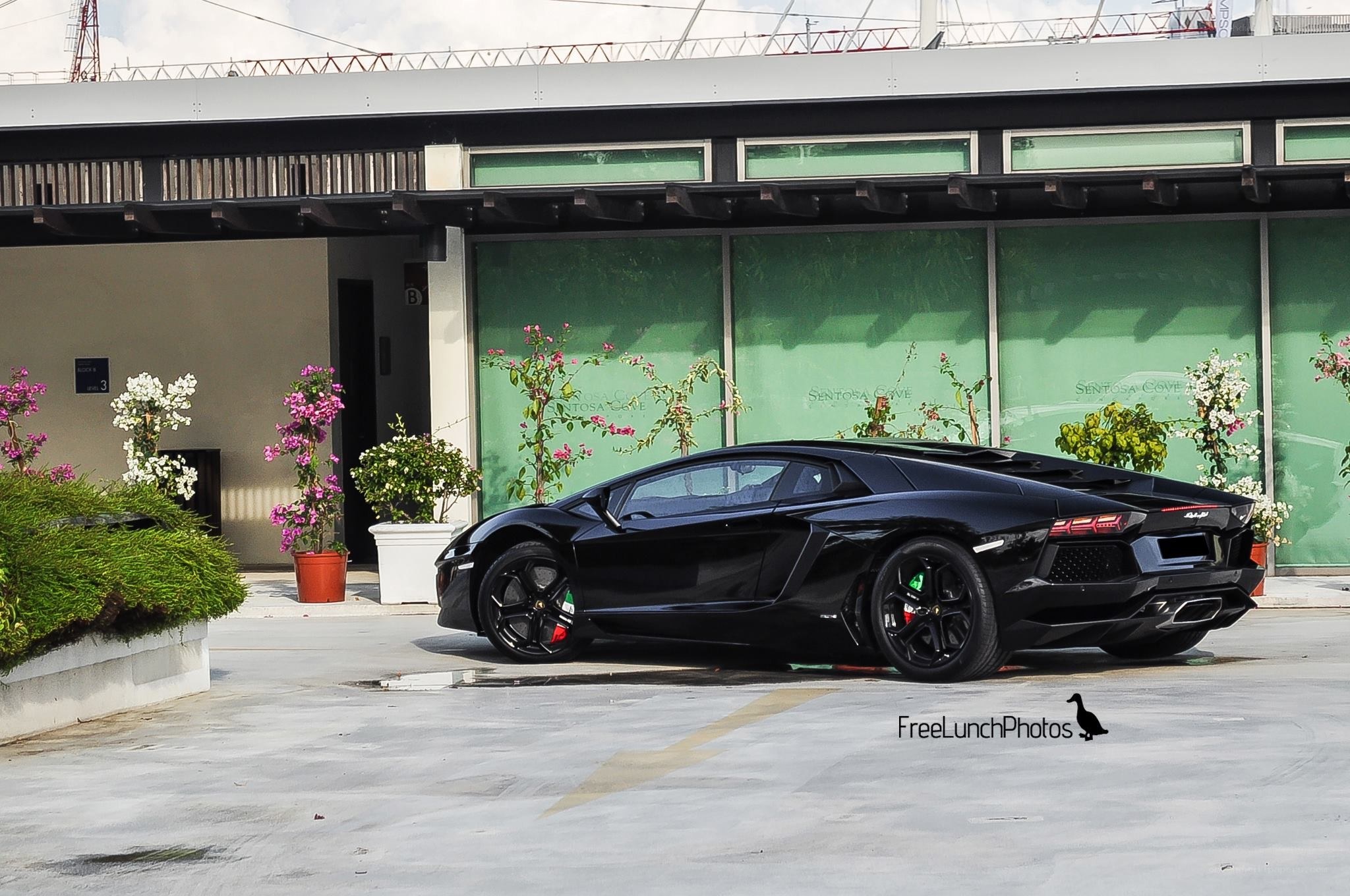 Black Lamborghini parked outside
