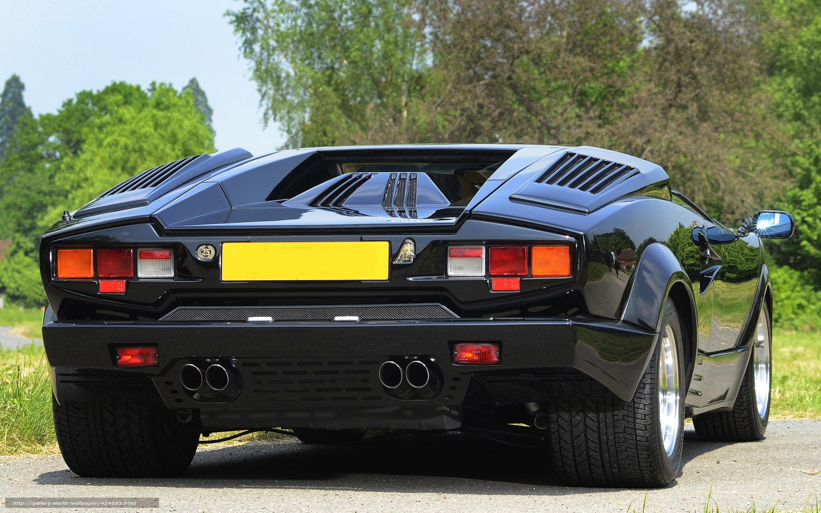 black lamborghini rear view