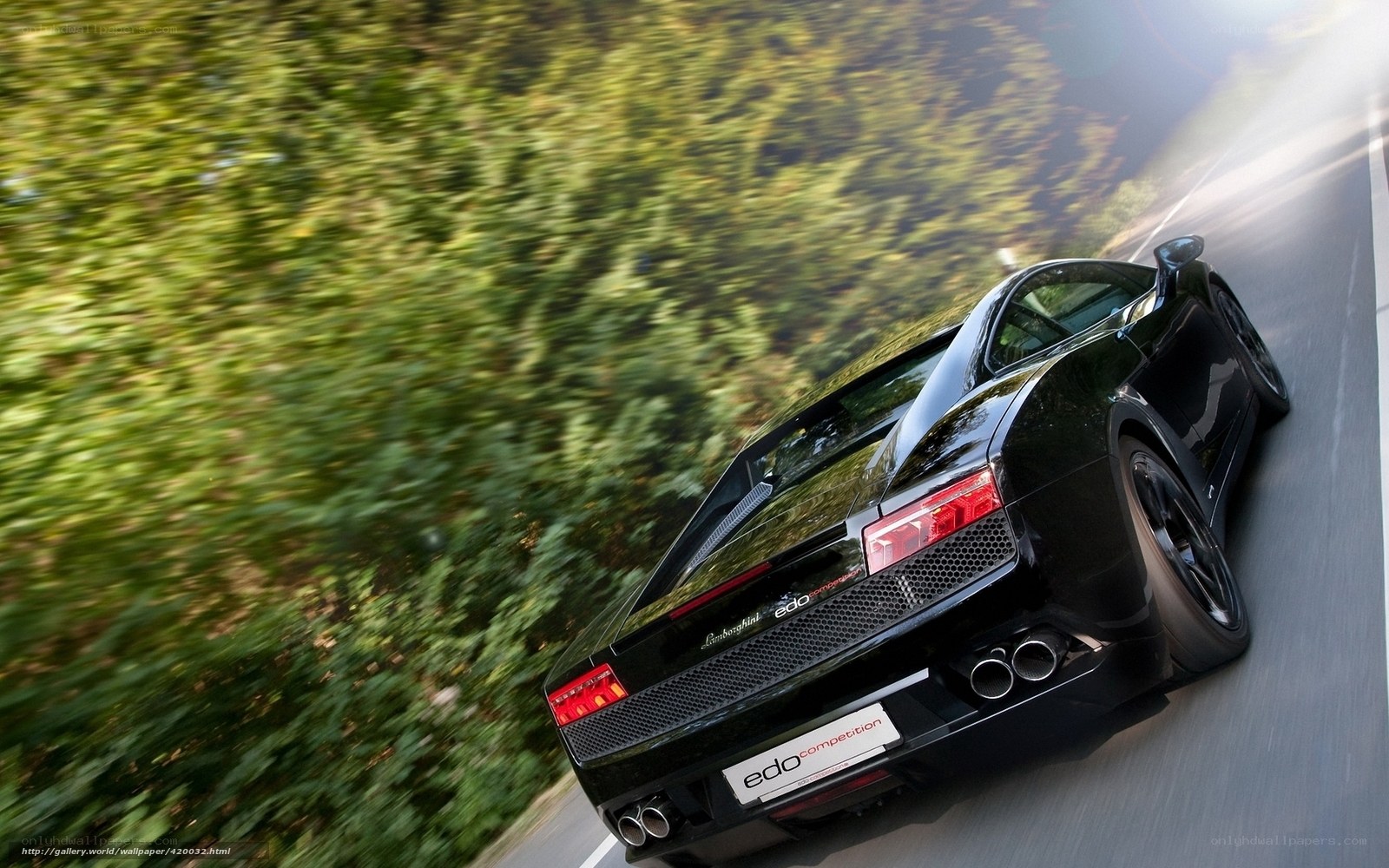 Black Lamborghini speeding on road