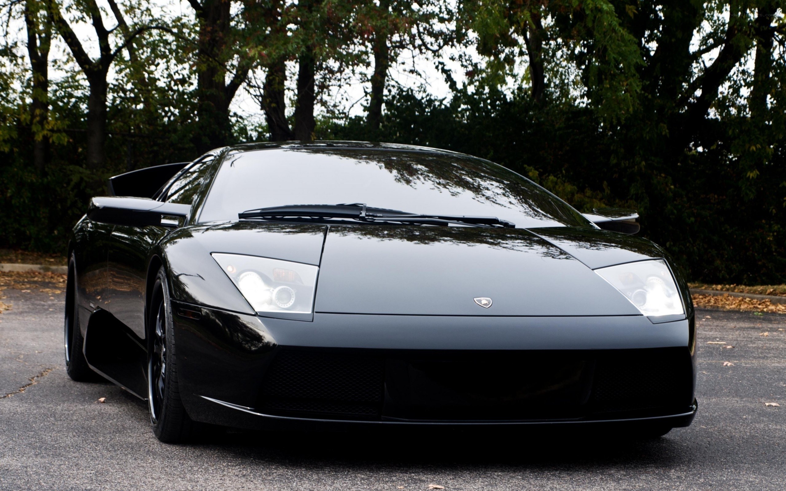 Black Lamborghini sports car