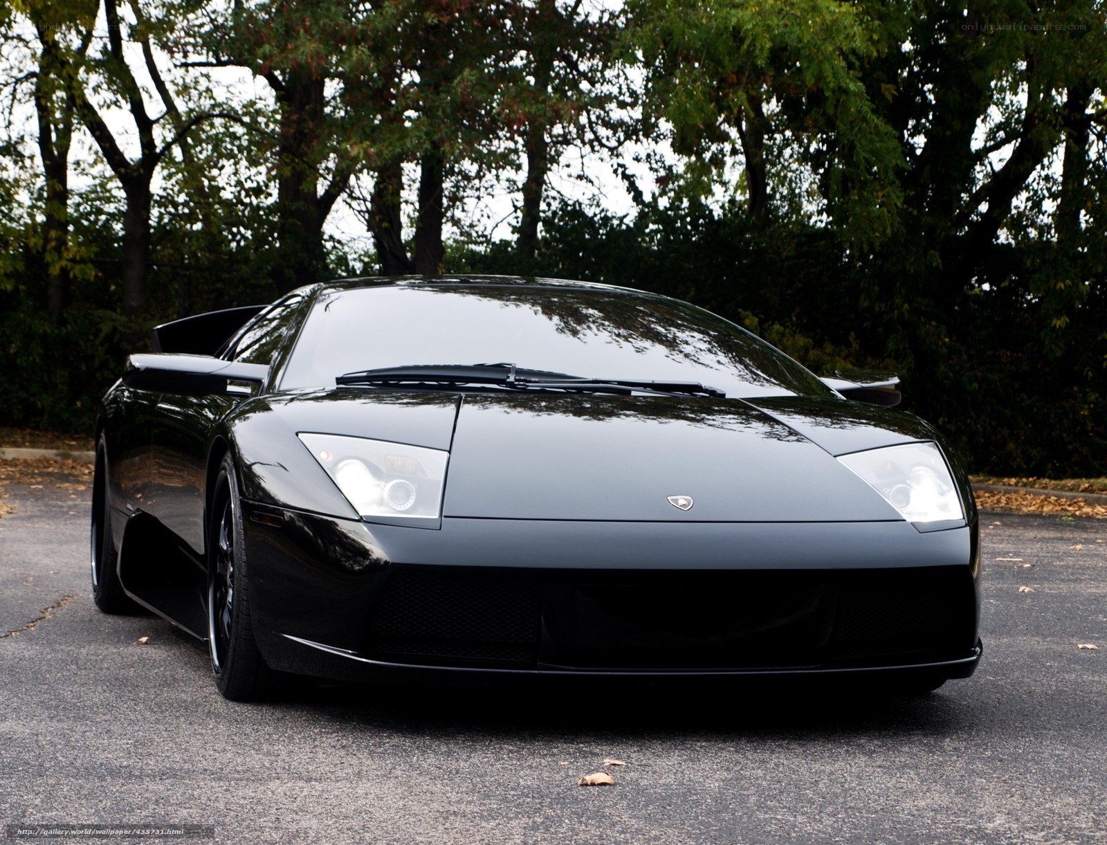 Black Lamborghini sports car