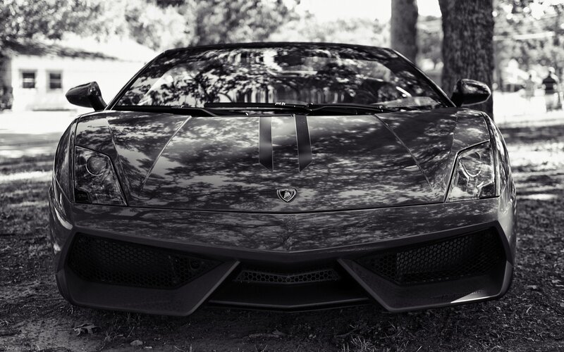 Black Lamborghini Sports Car — Dramatic, Afternoon, Photograph, Trees