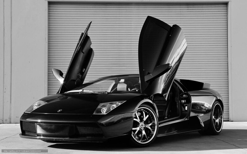 Black Lamborghini Sports Car — Dramatic, Photograph, Garage Door