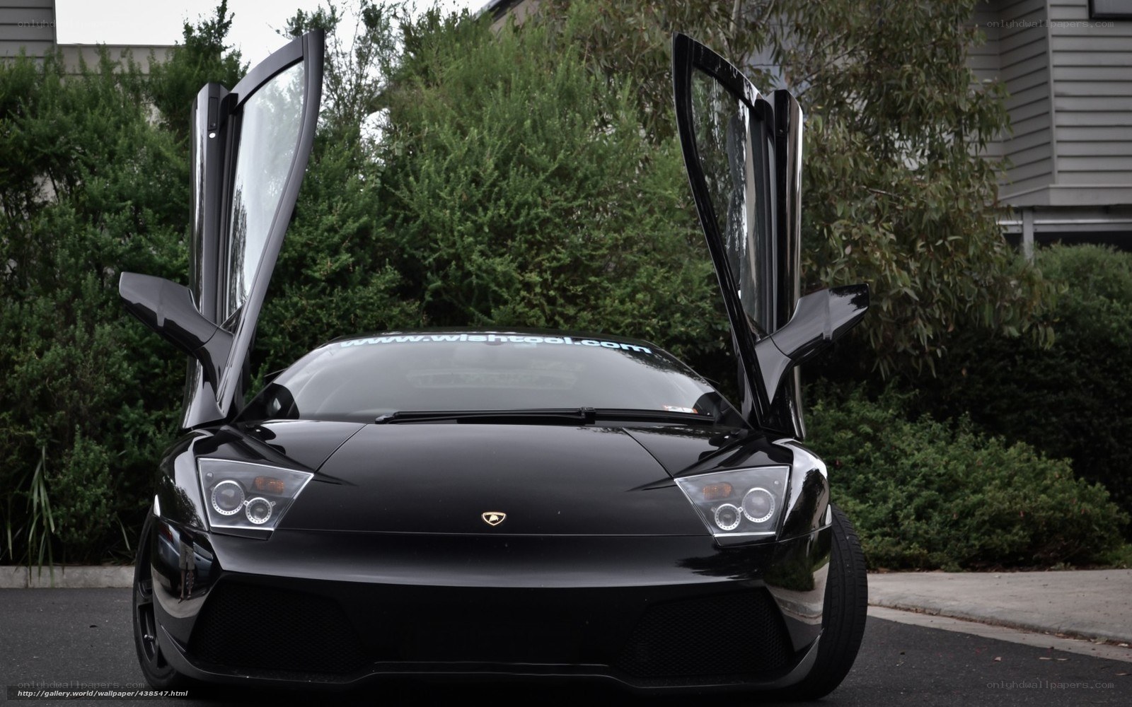 Black Lamborghini with doors open