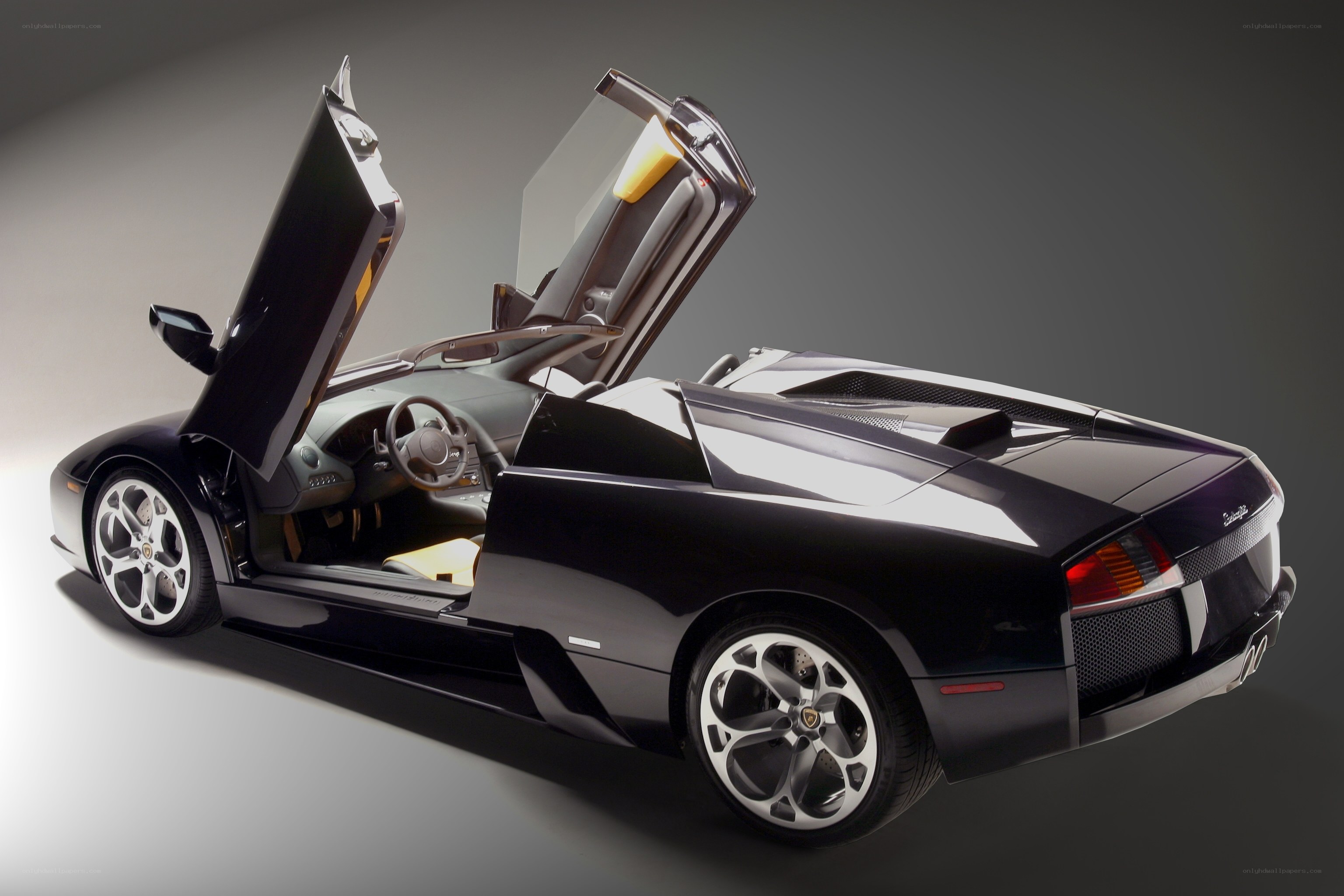 Black Lamborghini with doors open