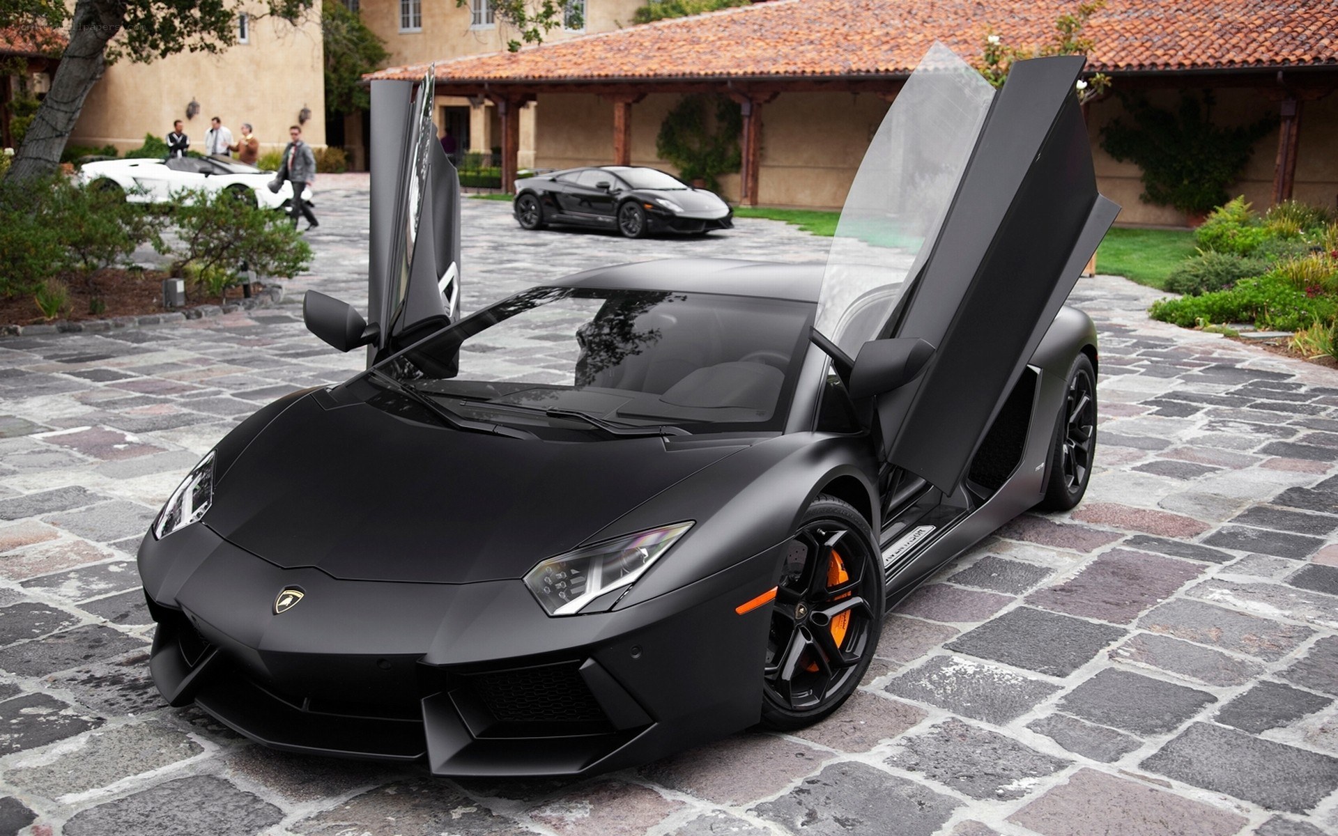Black Lamborghini with doors open
