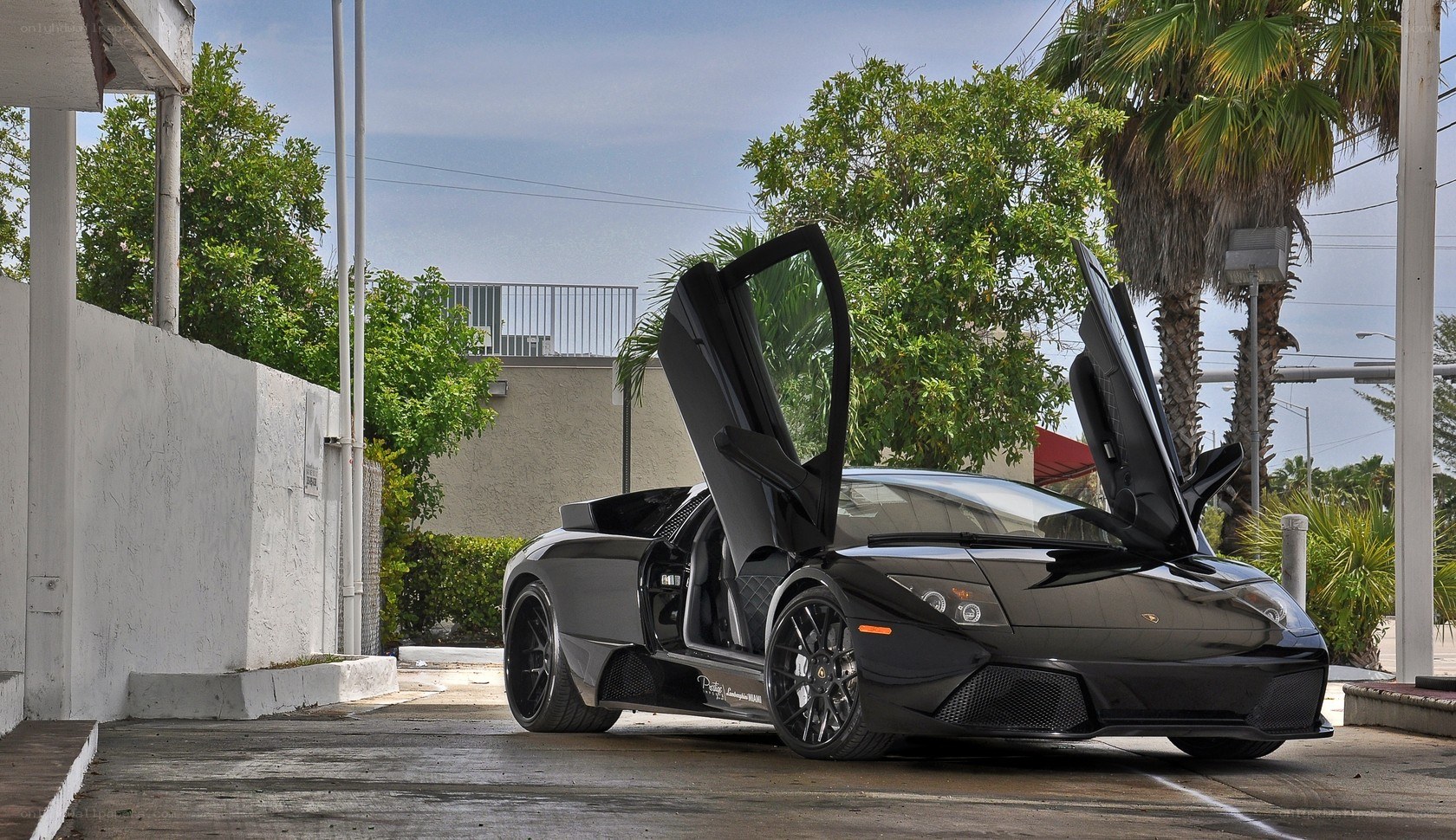 Black Lamborghini with doors open