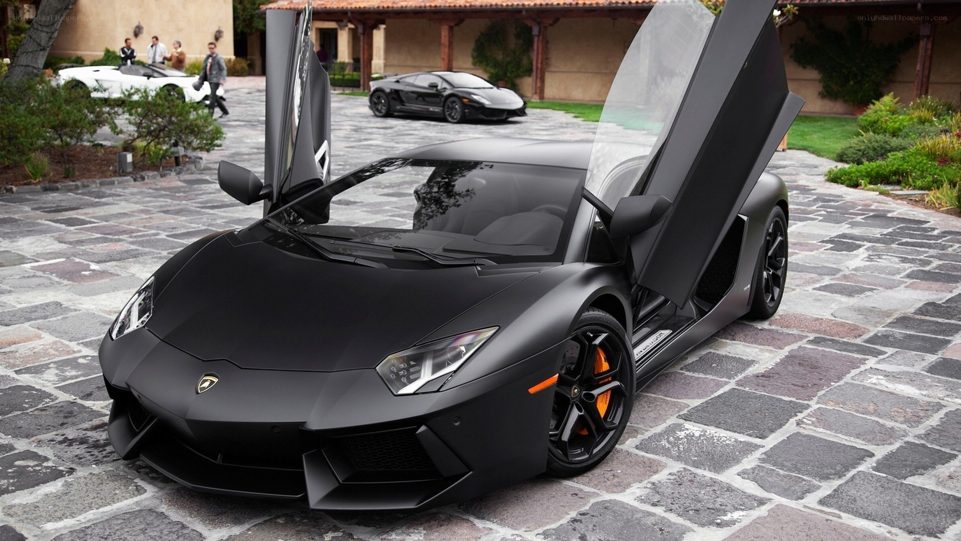Black Lamborghini with doors open