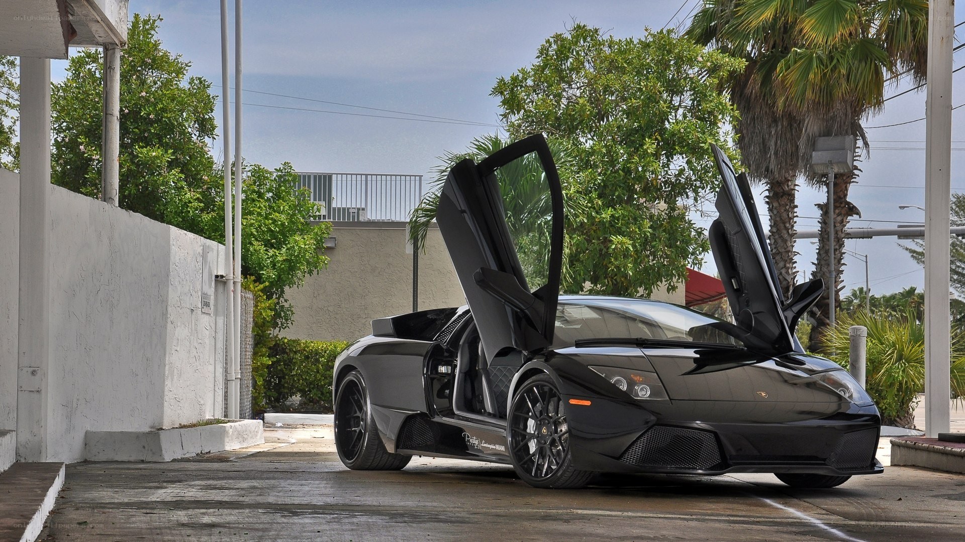 black lamborghini with doors open