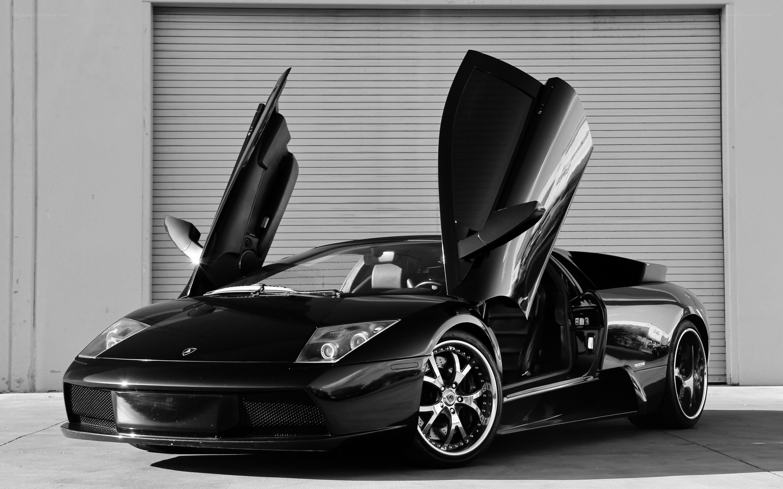 Black Lamborghini with doors open