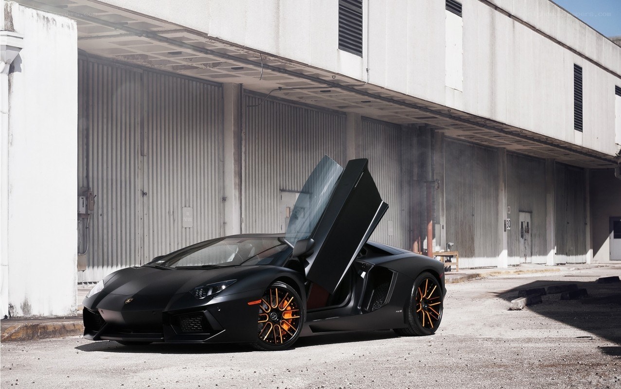 Black Lamborghini with open doors